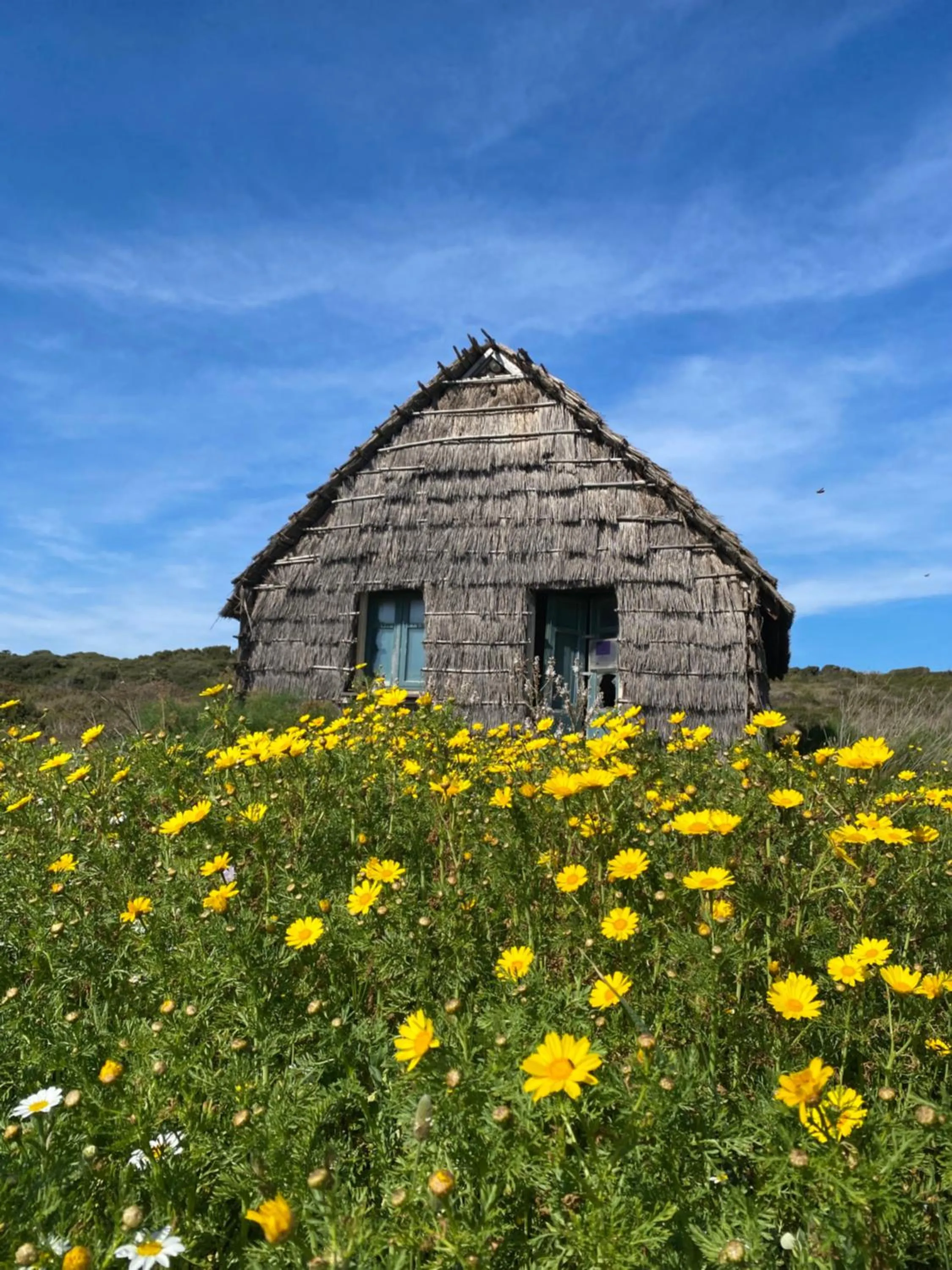 Nearby landmark in Hotel Villa Canu