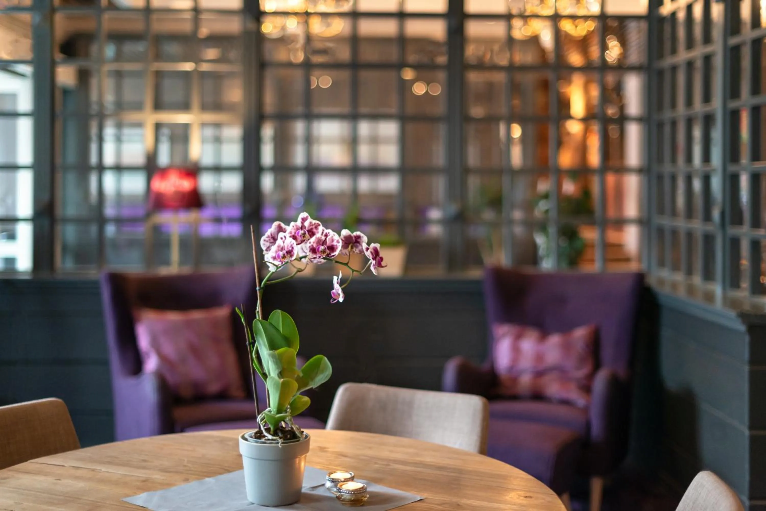 Lounge or bar in Home Hotel Grand Gjøvik