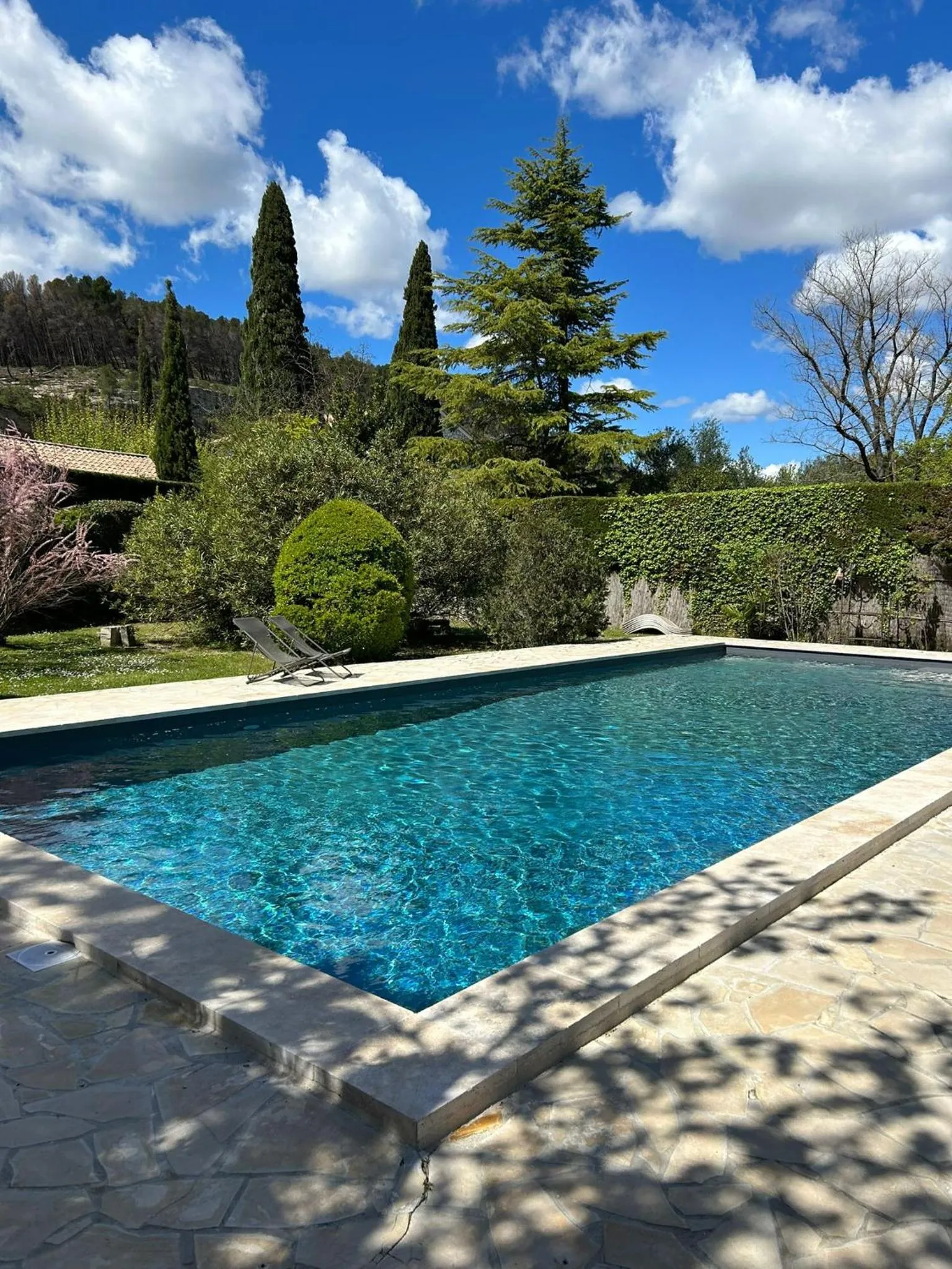 Swimming pool in Logis Hôtel Castel Mouisson