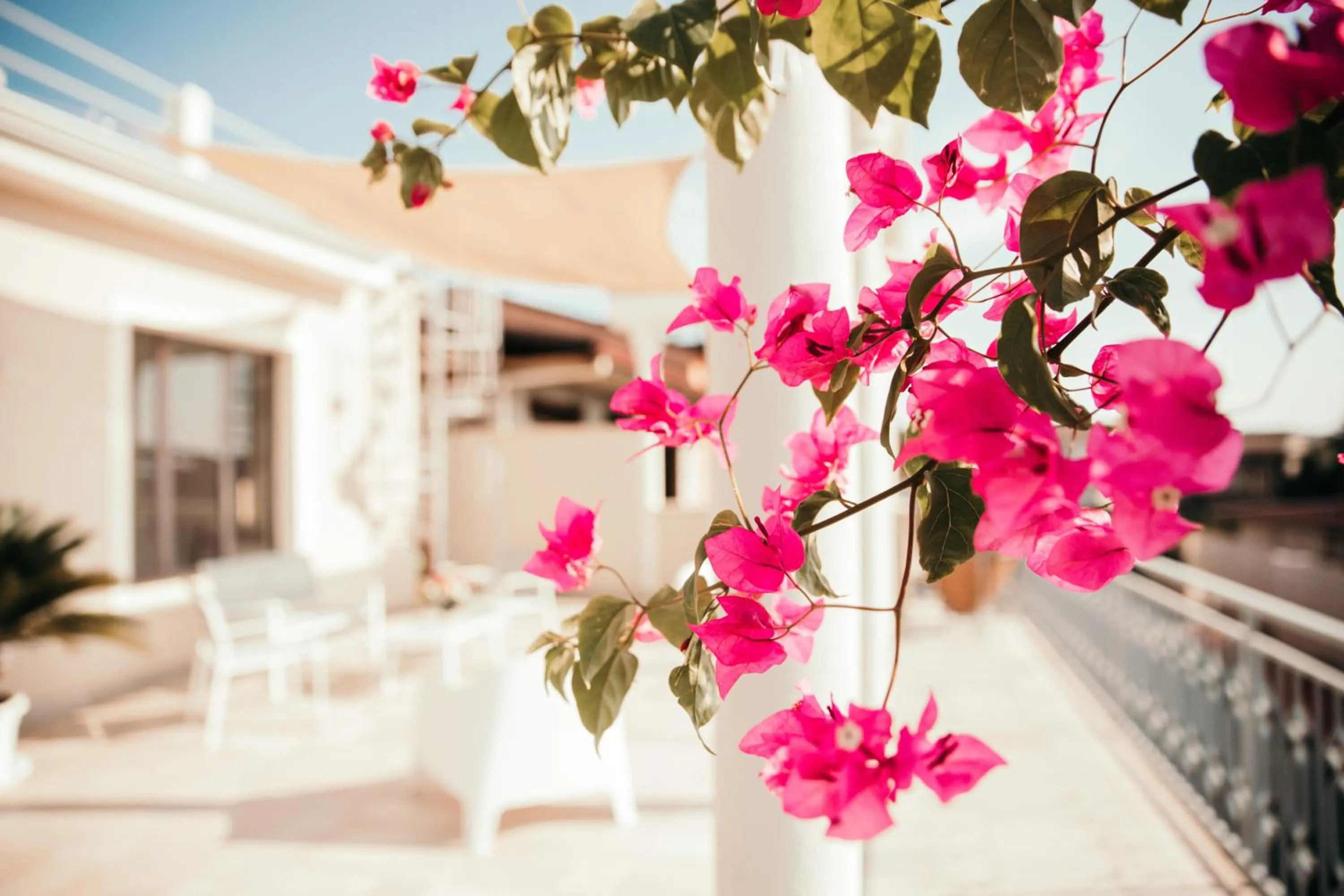 Balcony/Terrace in Le Antiche Colonne