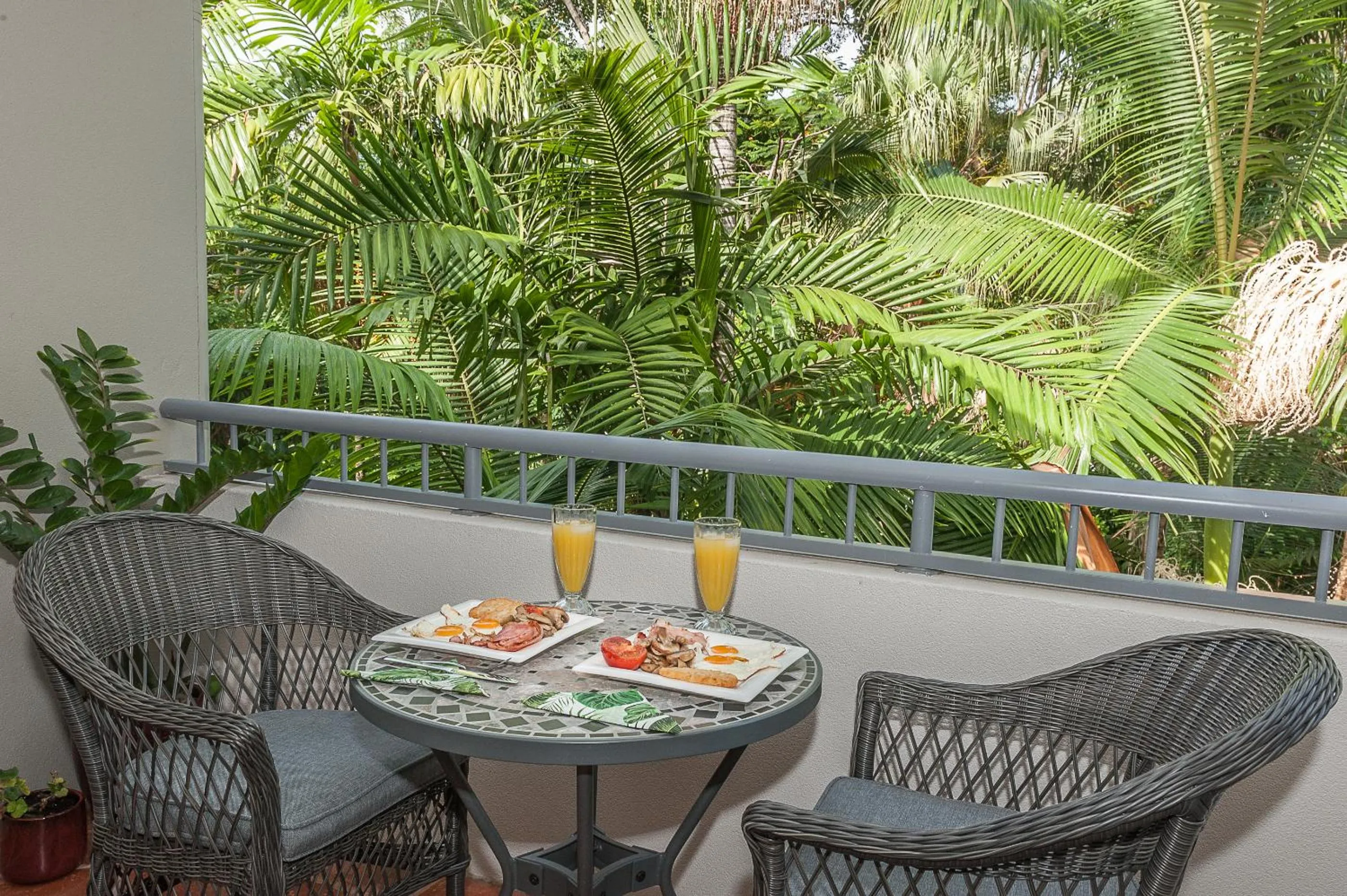 Balcony/Terrace in Oasis at Palm Cove