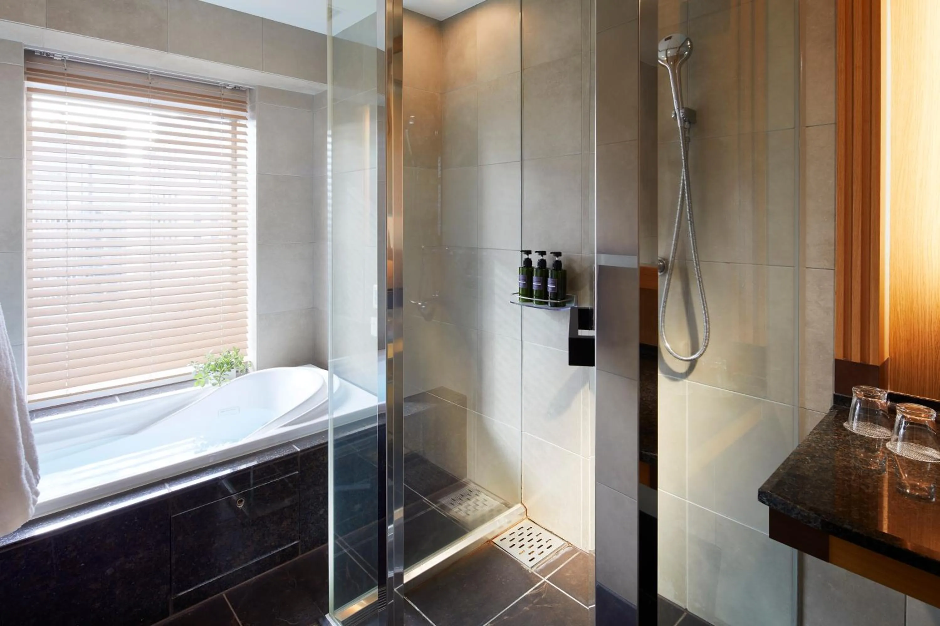 Shower in Hotel Niwa Tokyo