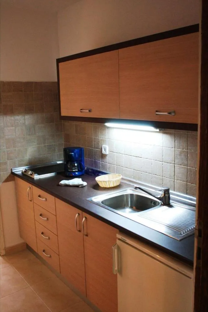Kitchen or kitchenette in Apartamentos Matorral