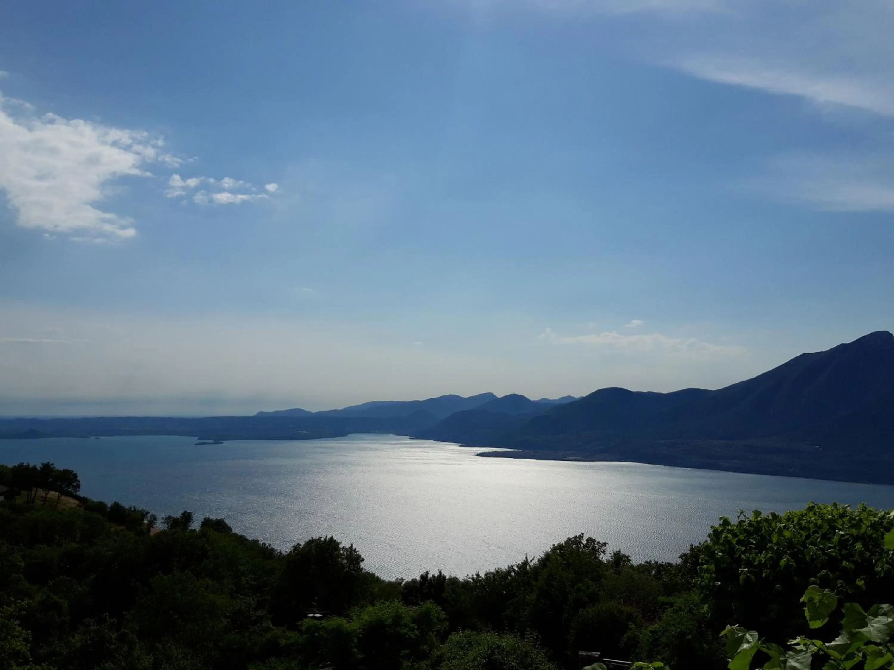 Natural landscape in Hotel Laguna