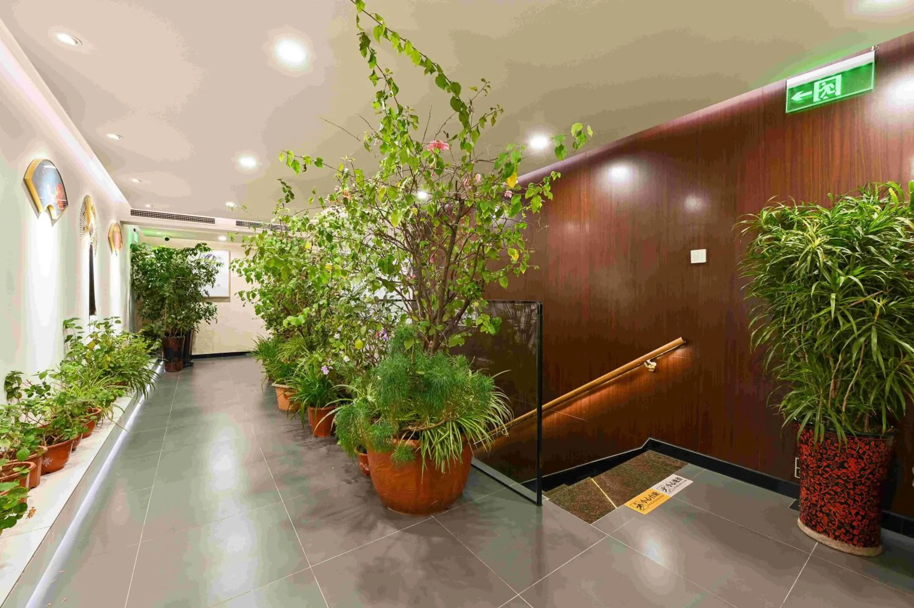 Xingshe Alley Courtyard Hotel Beijing Wangfujing Forbidden City Branch - Breakfast included & English speaking reception & Free WiFi and Laundry room & Hutong Culture & Cat-keeping & Flower-growing Terrace & One day tour service & Free coffee