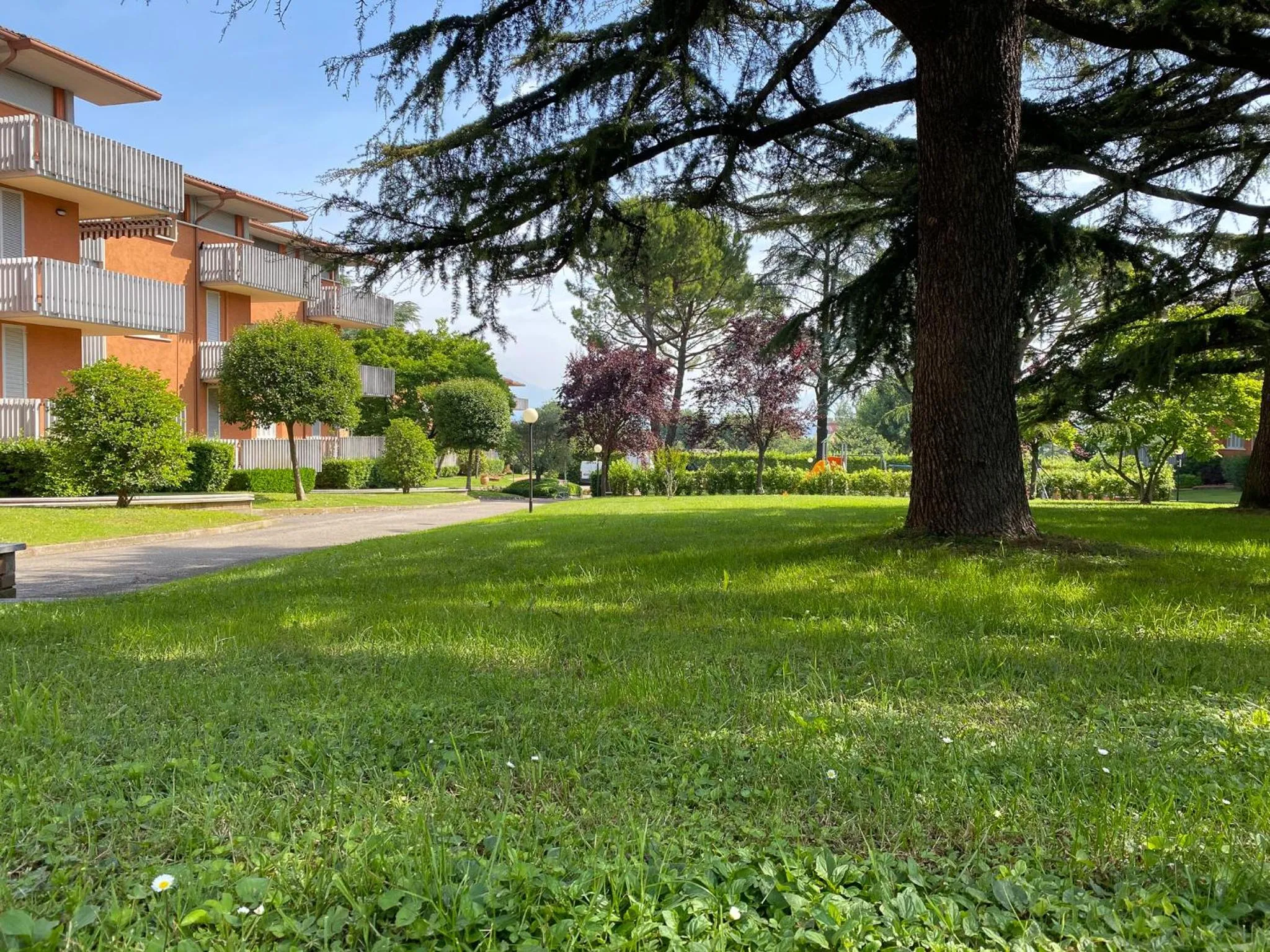 Garden in Residenza Cappuccini