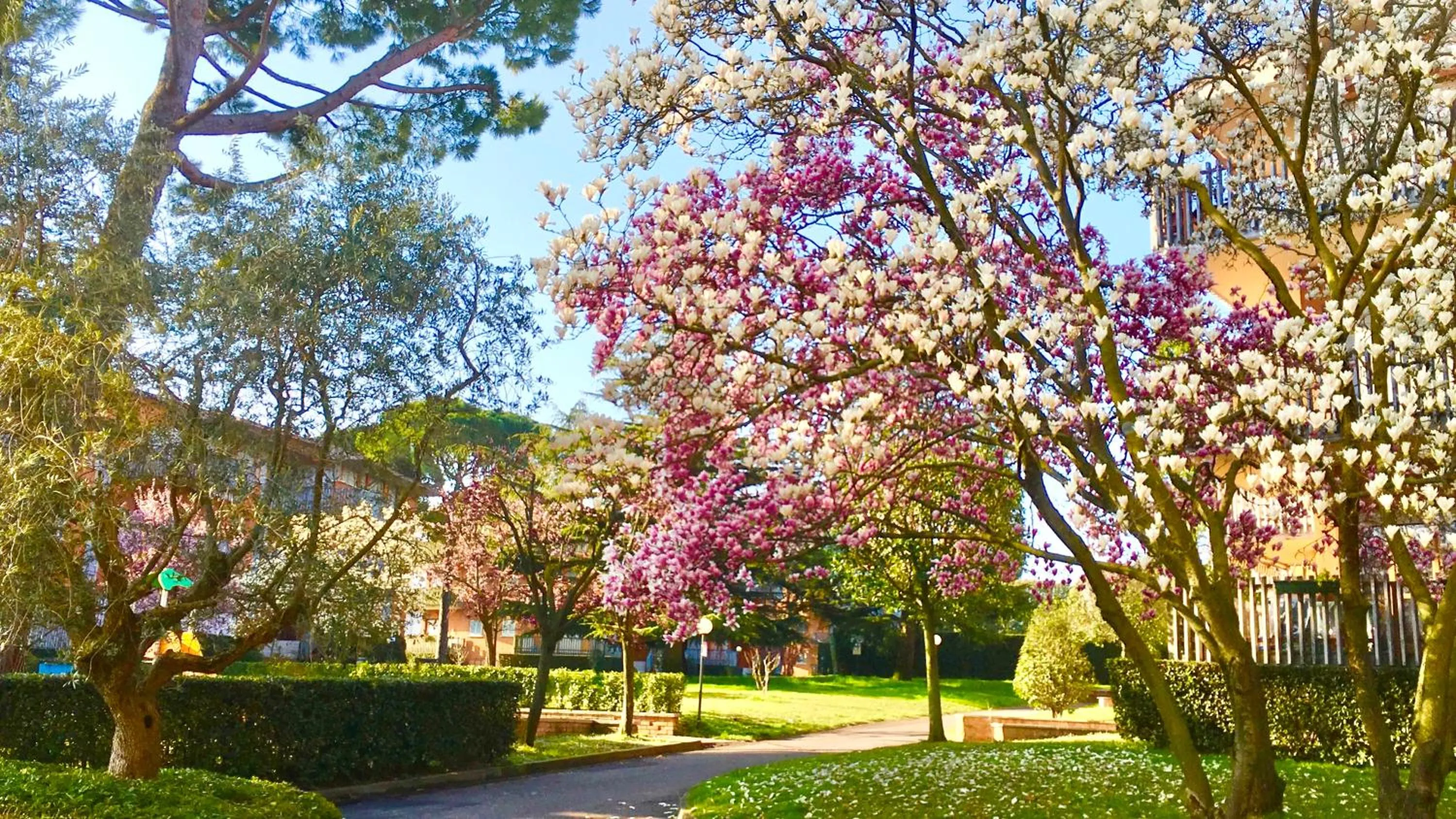 Spring in Residenza Cappuccini