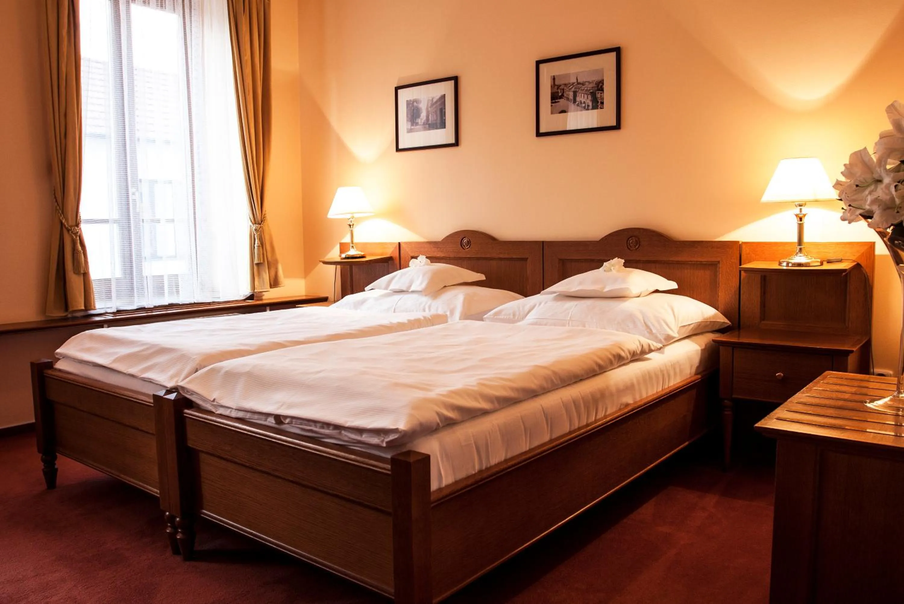 Double Room - single occupancy in Hotel Slunce