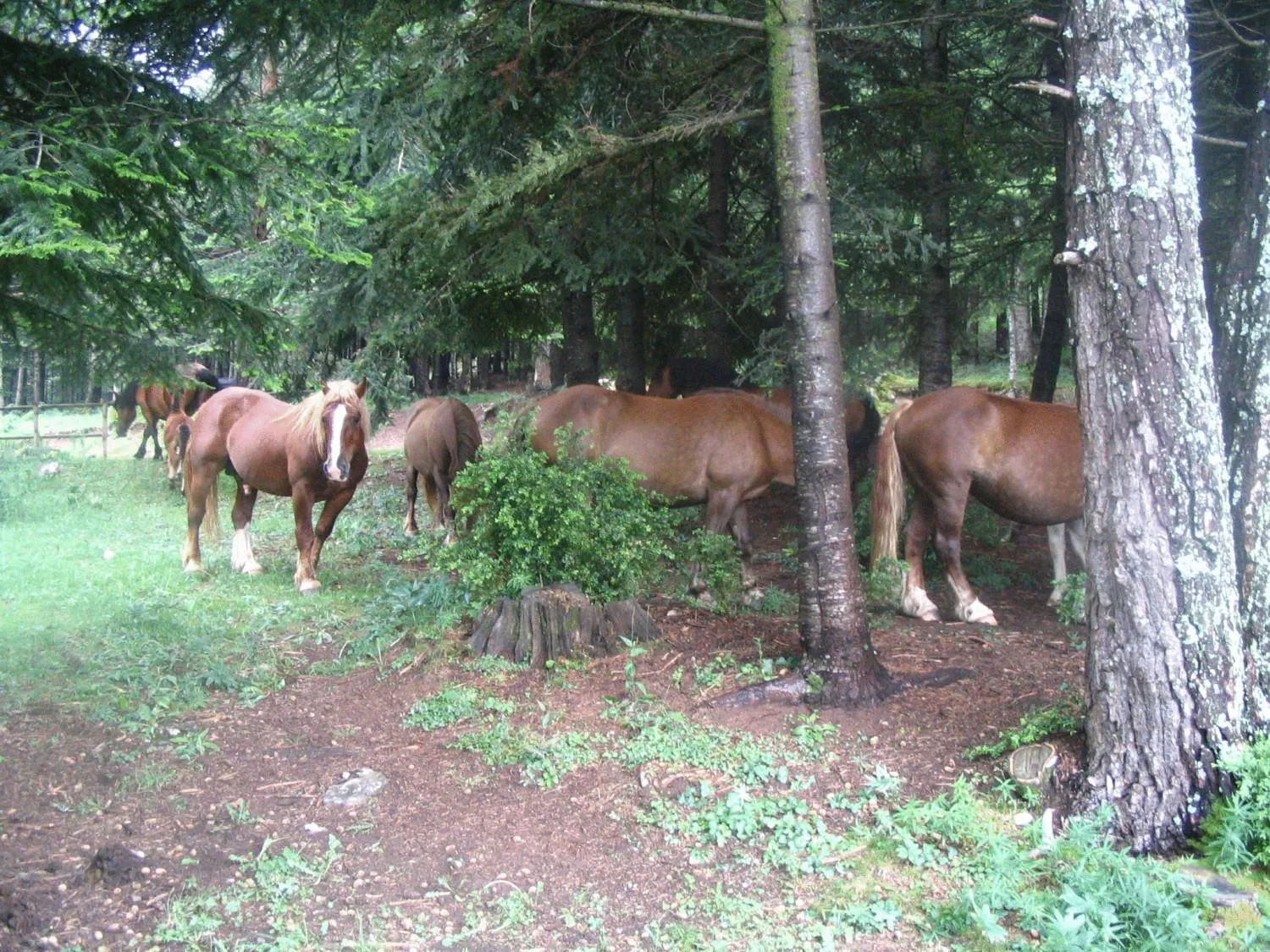 Area and facilities in Hotel Terralta
