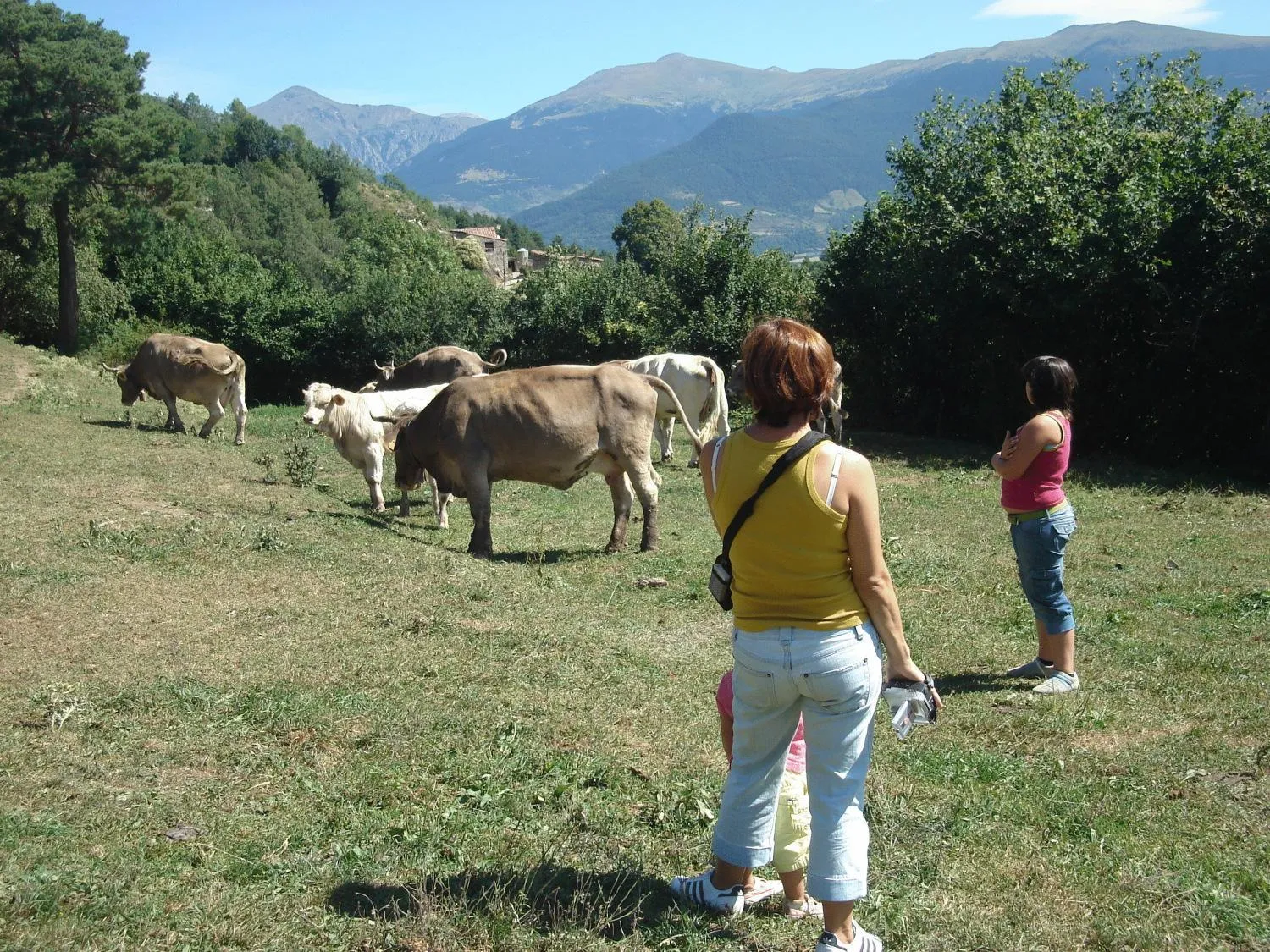 Area and facilities in Hotel Terralta