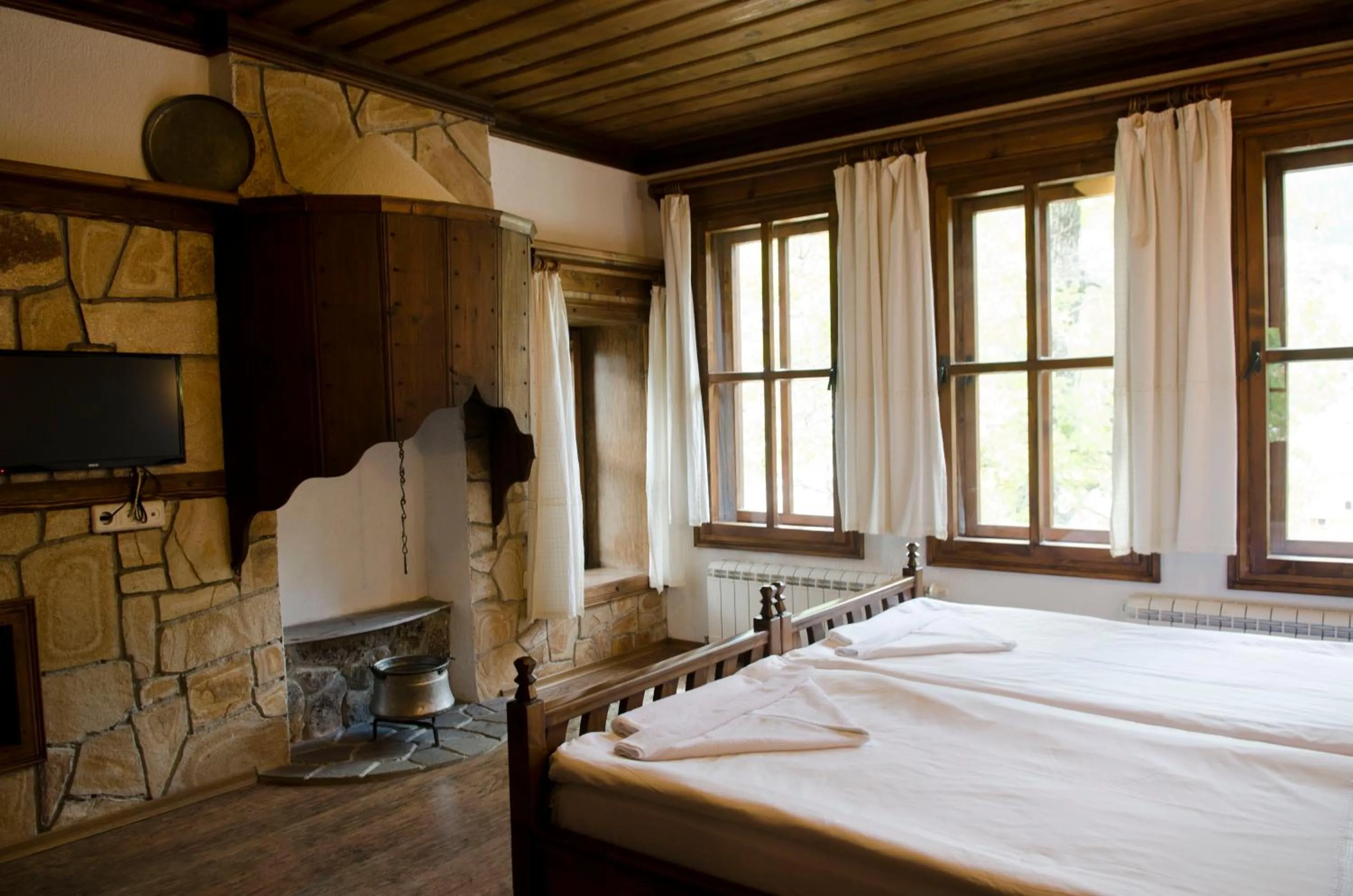 Superior Twin Room in Petko Takov's House