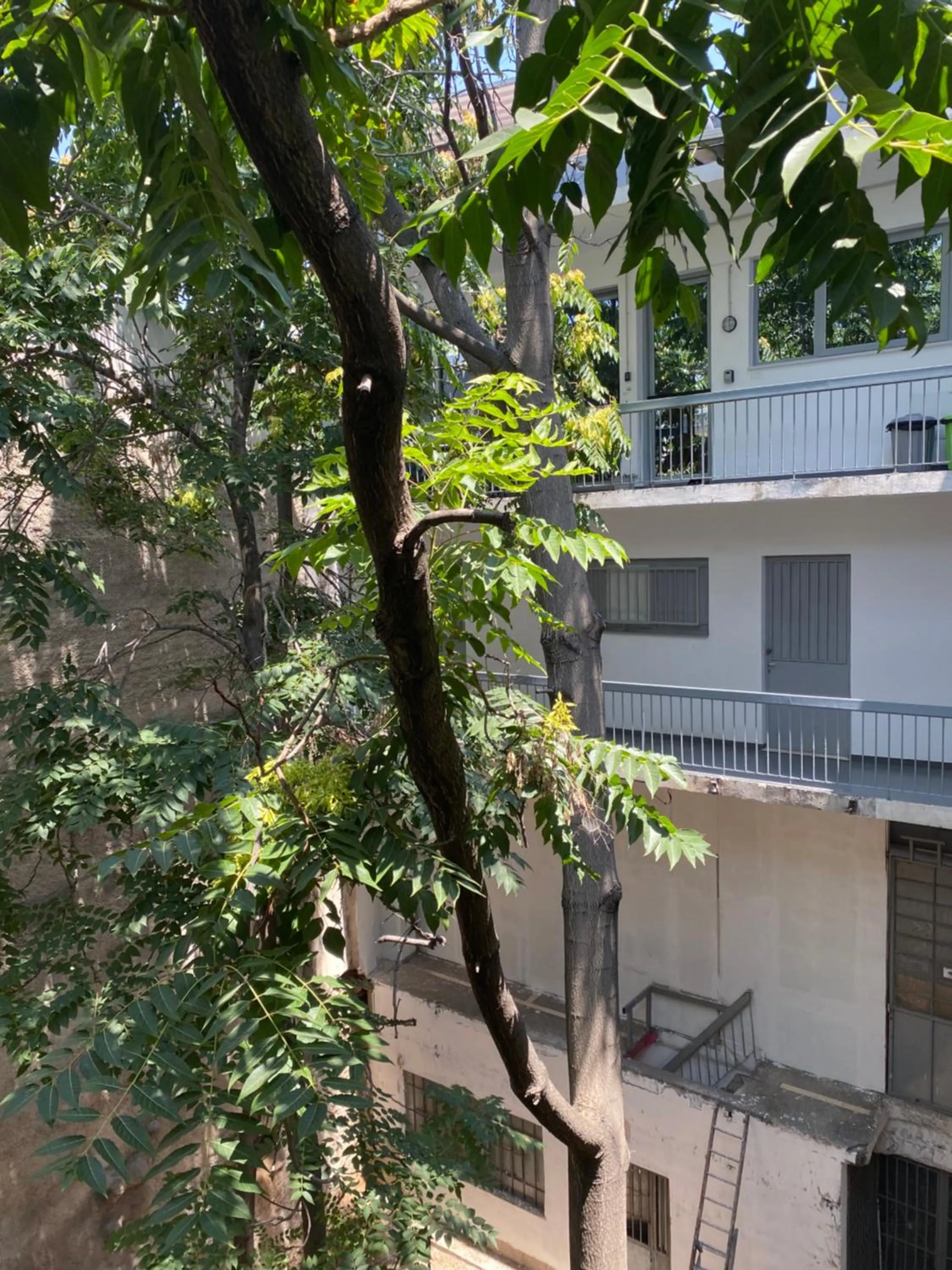 Property building in Monastiraki CityCenter Sleepbox- Unspoiled Athens Apartments