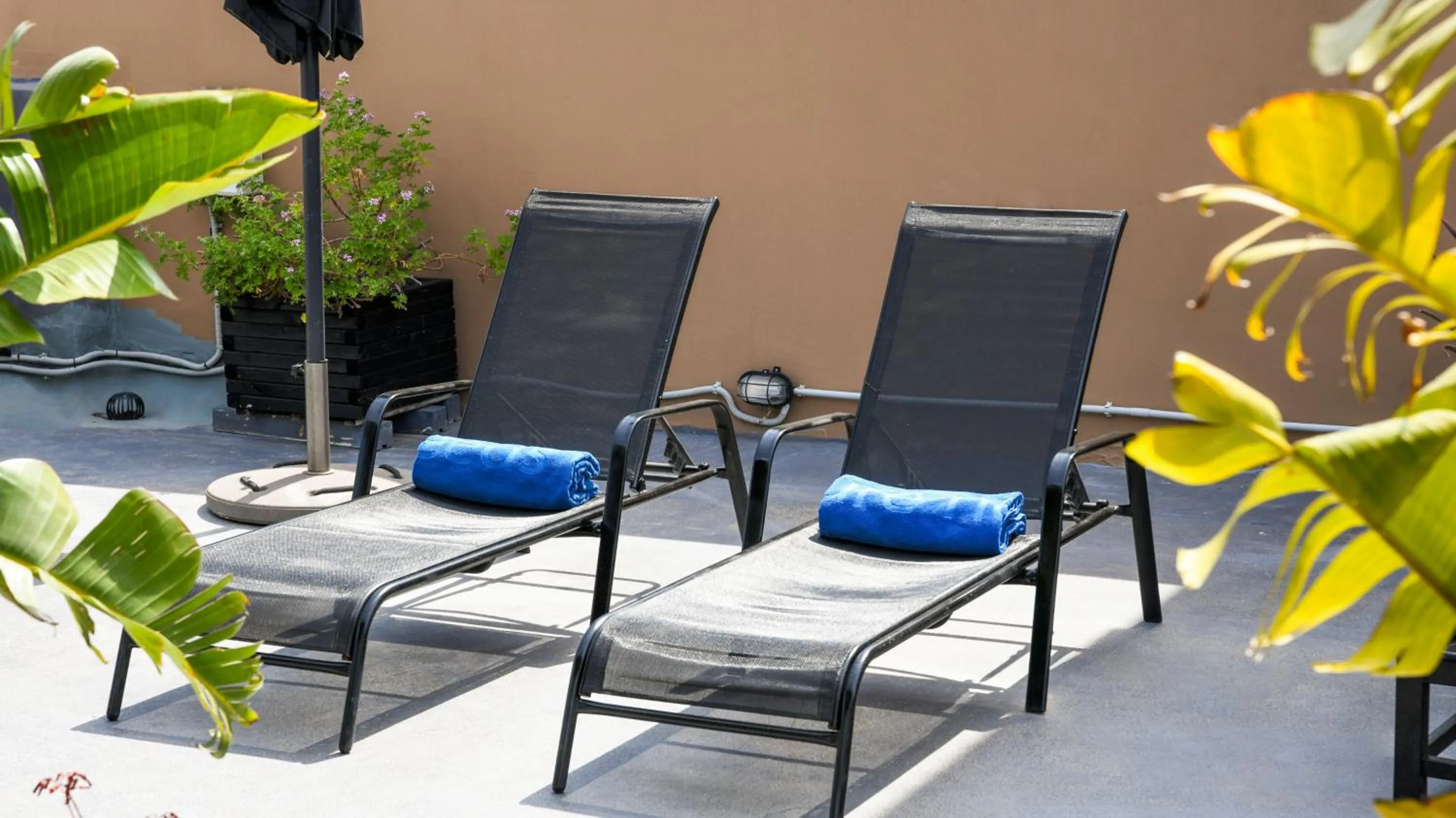sunbed in Monastiraki CityCenter Sleepbox- Unspoiled Athens Apartments