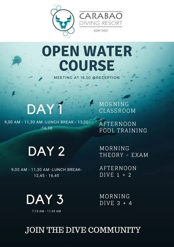 Logo/Certificate/Sign in Carabao Diving Koh Tao