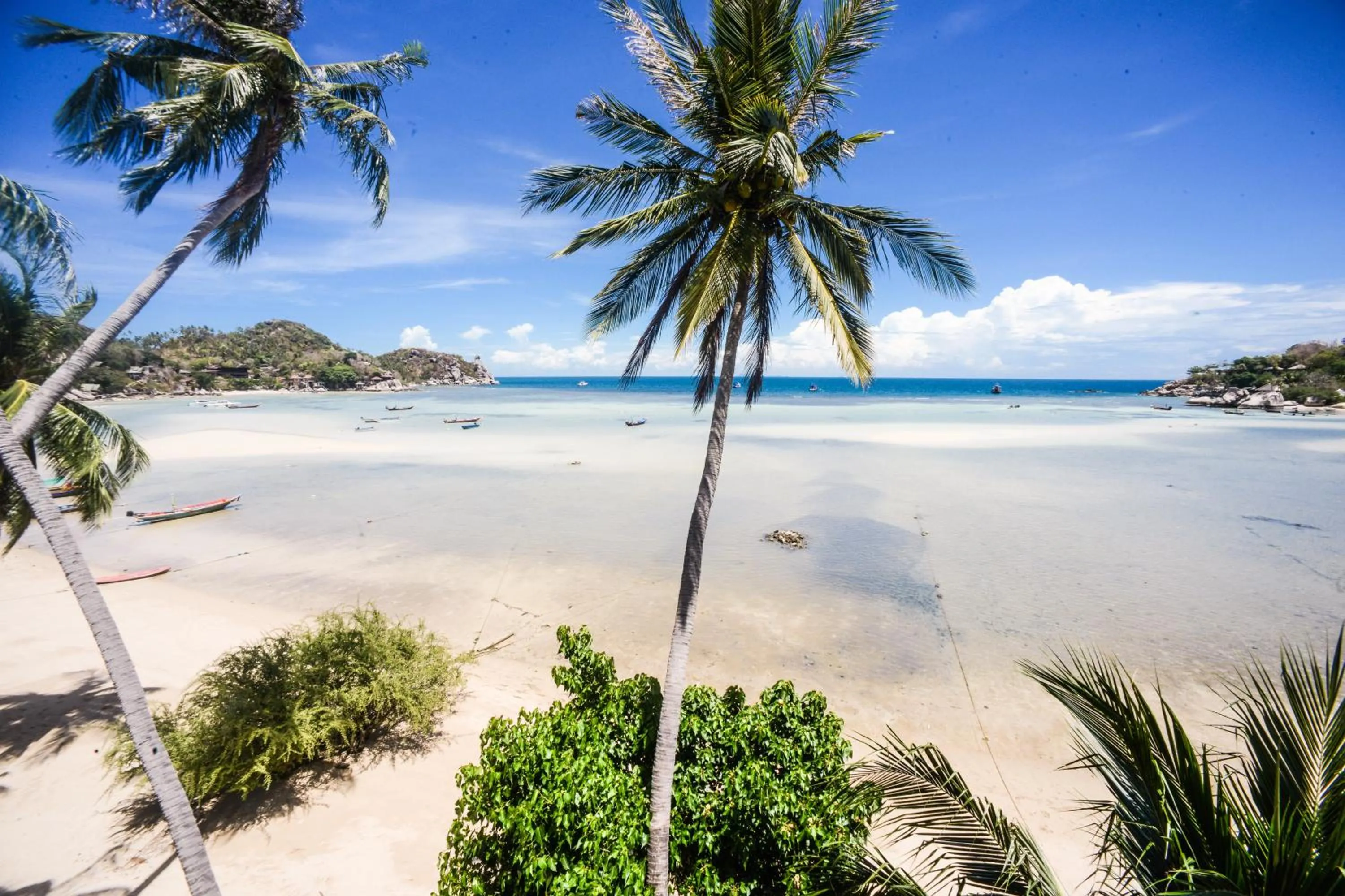 Beach in Carabao Diving Koh Tao