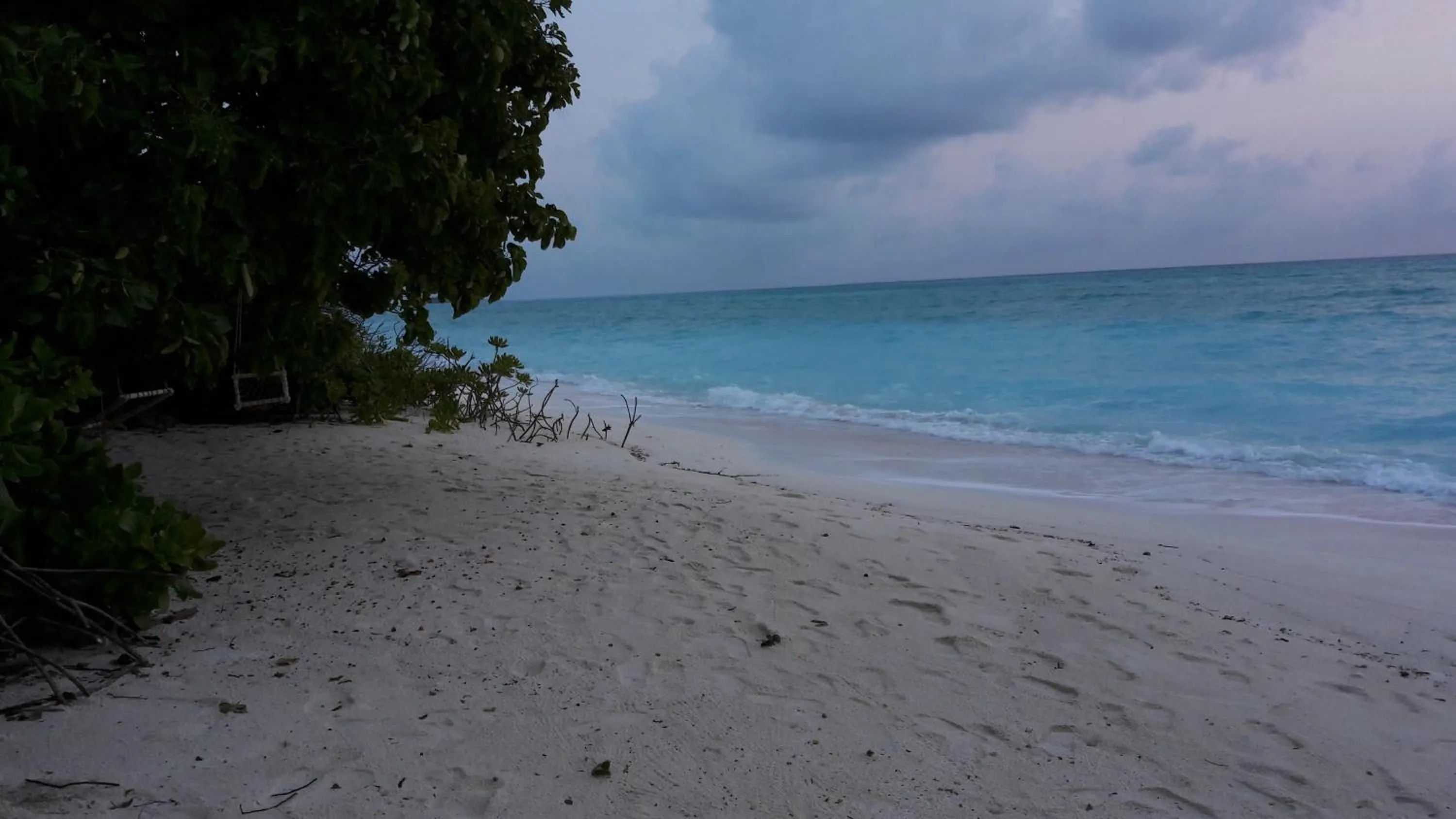 Beach in Annama Lodge and Dive