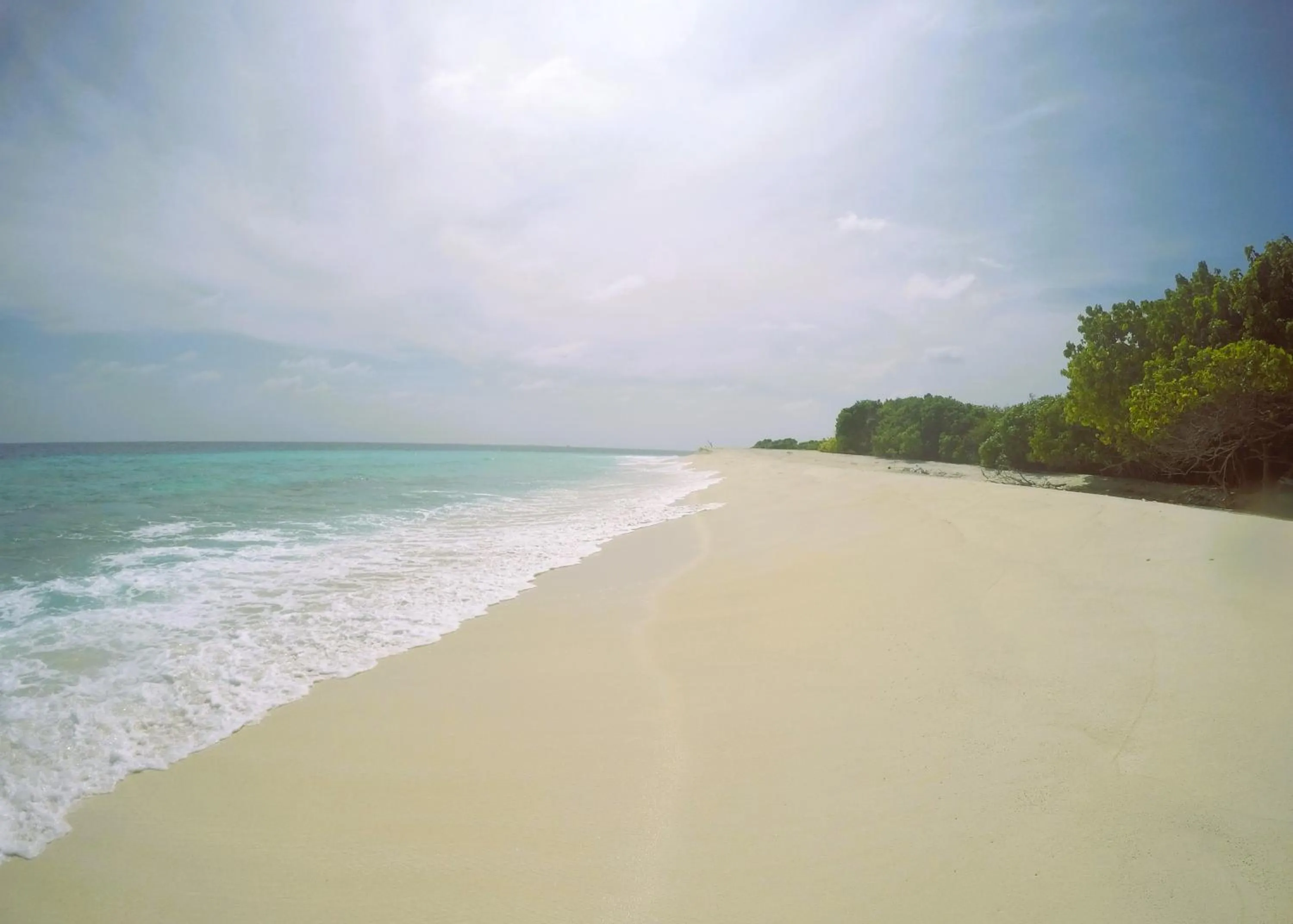 Beach in Annama Lodge and Dive