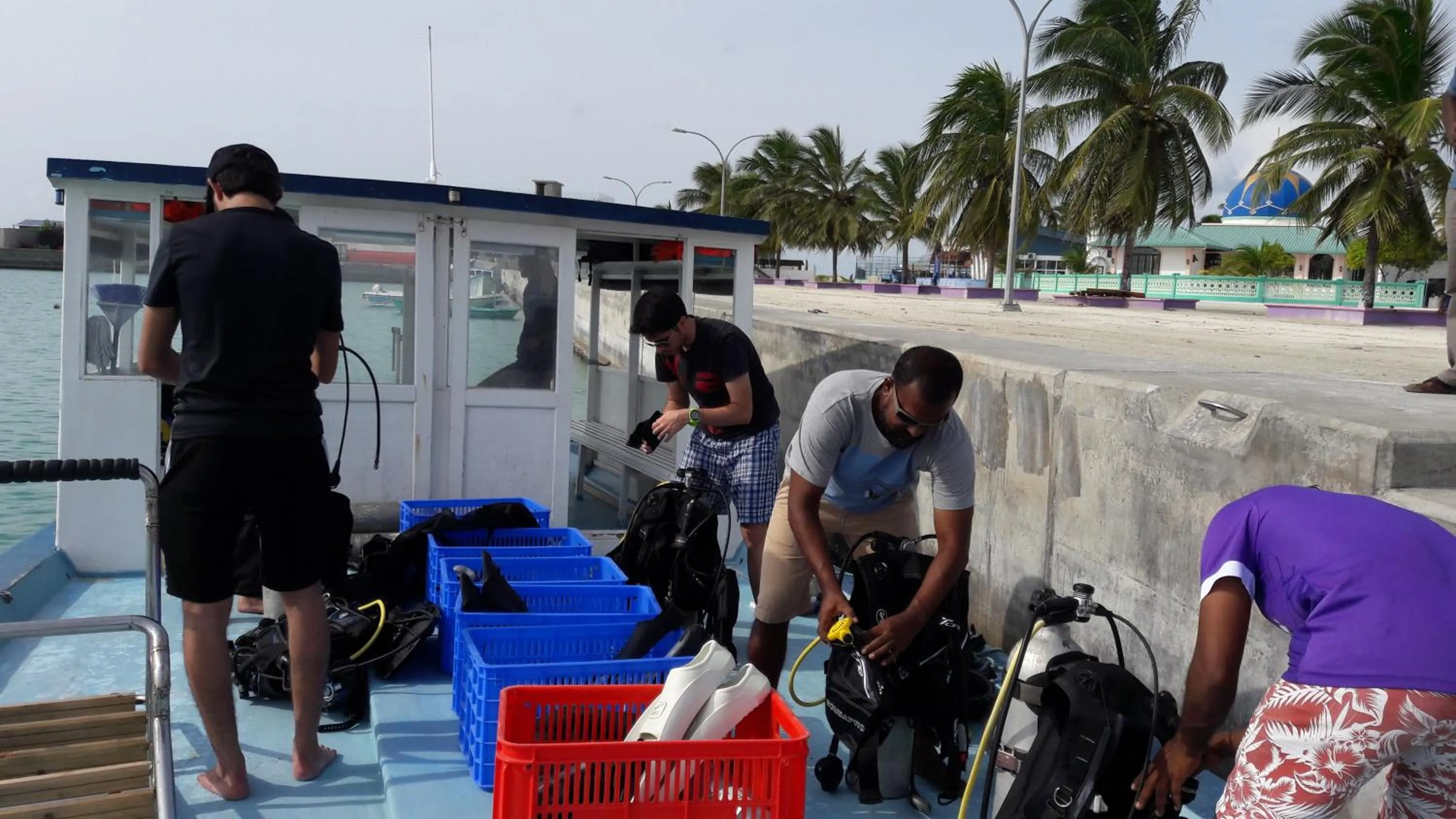 Diving in Annama Lodge and Dive