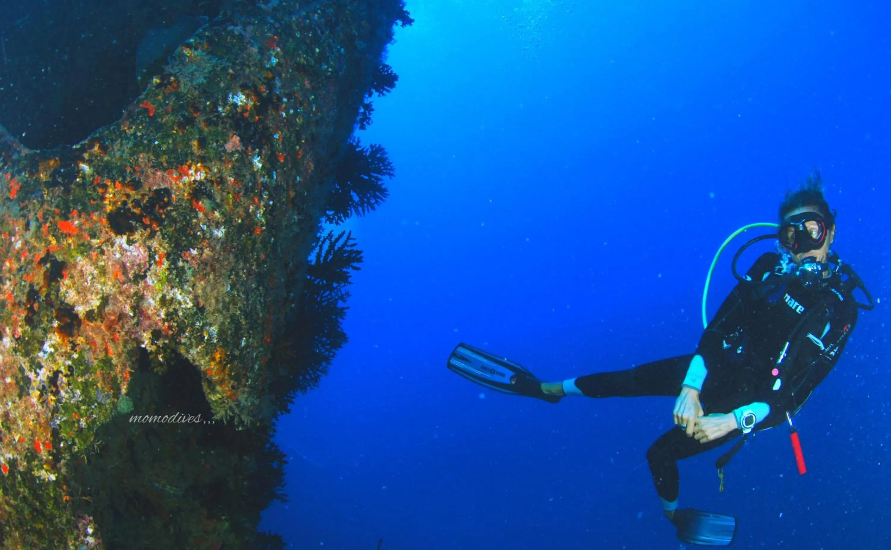 Activities in Annama Lodge and Dive