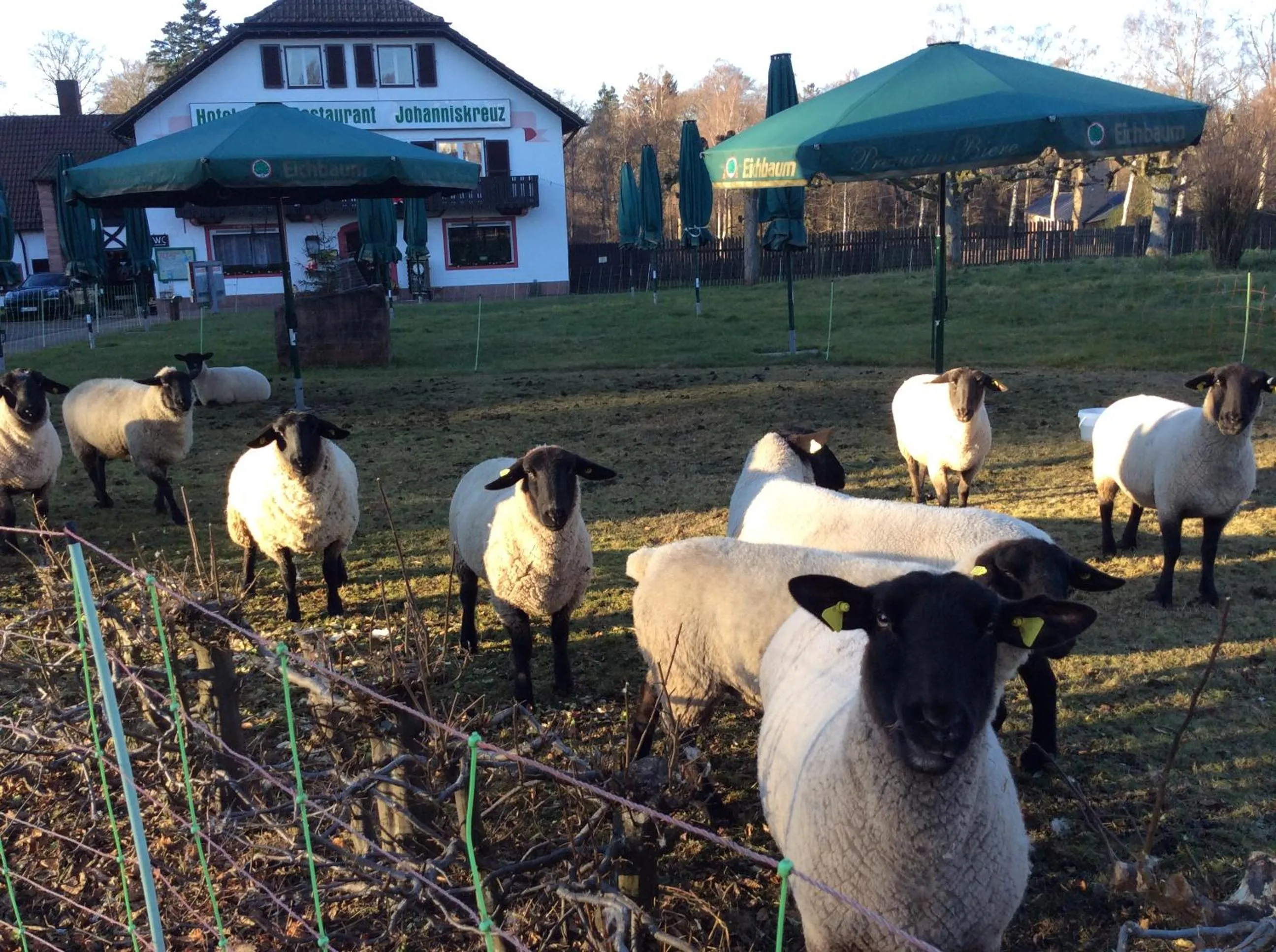 Hotel-Restaurant Johanniskreuz