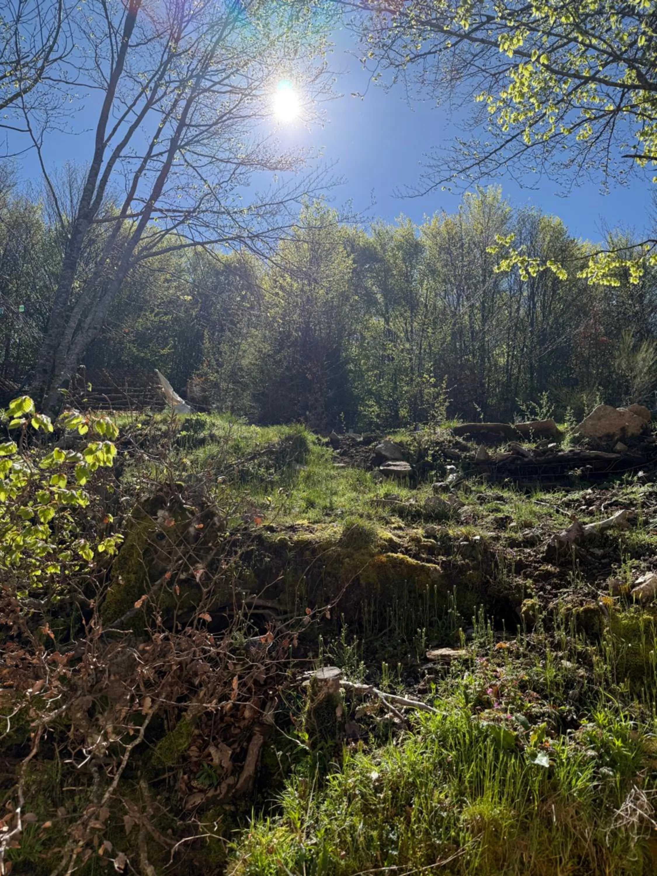 Natural landscape in Ferme auberge du col de la vaccia