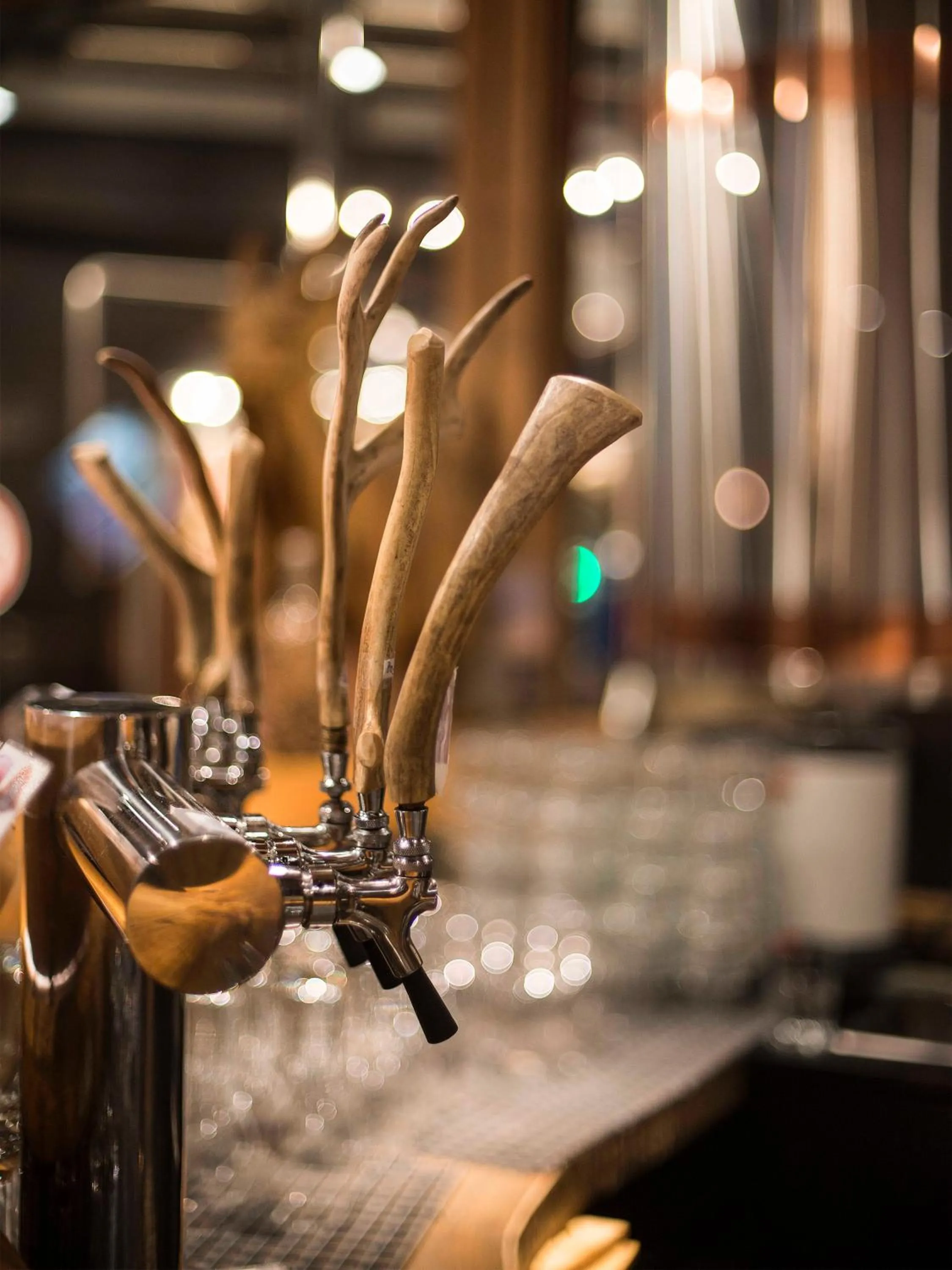 Lounge or bar in Flåmsbrygga Hotel