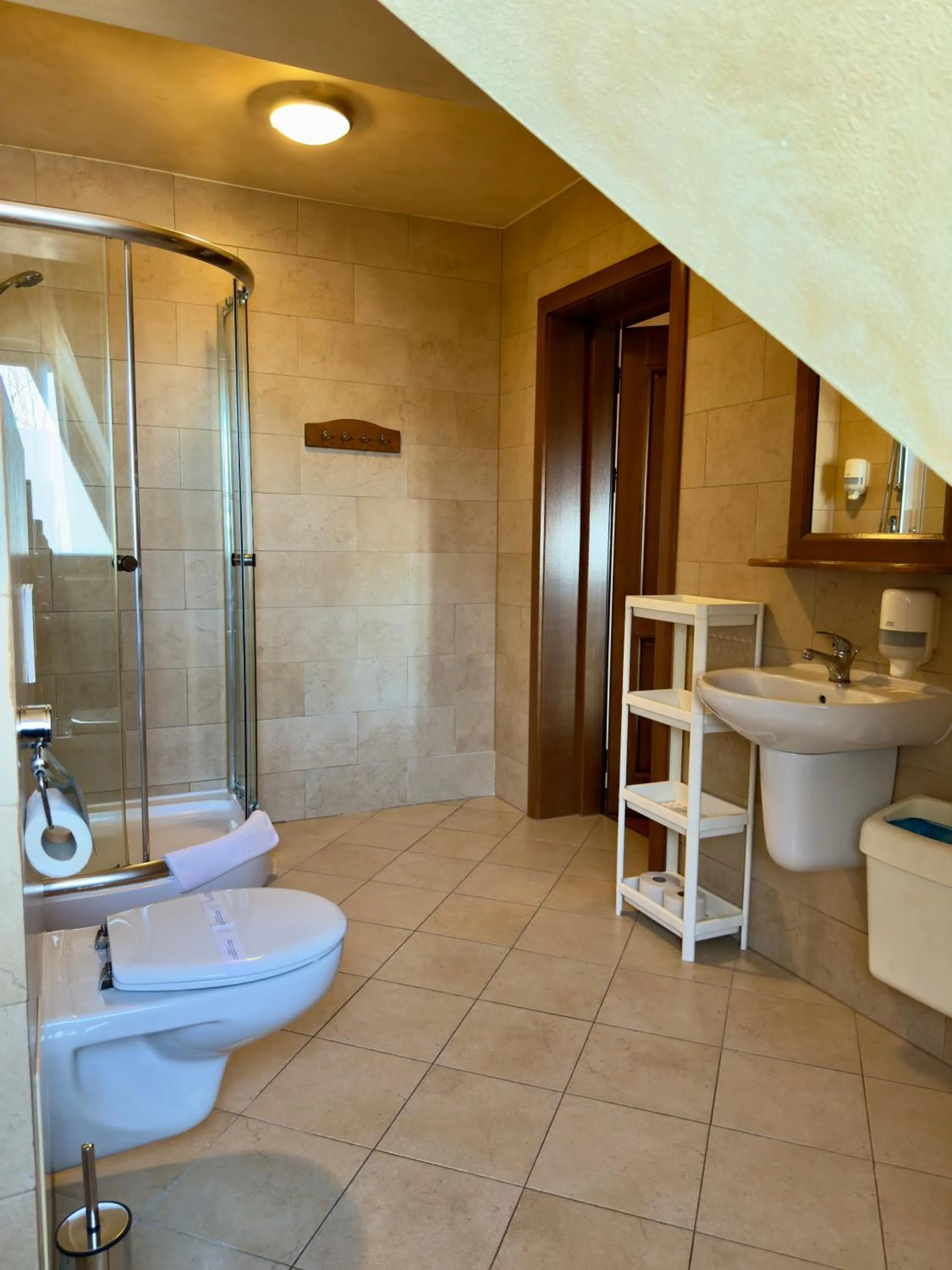 Shower in Hotel Dwór Karolówka