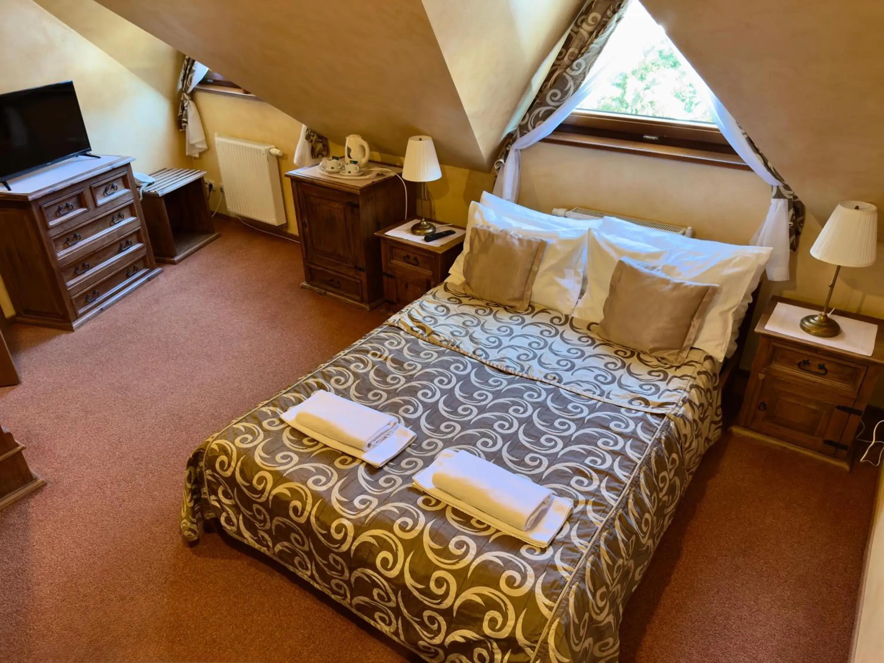 Double Room in Hotel Dwór Karolówka Double Room in Hotel Dwór Karolówka