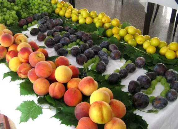 Food and drinks in Hotel Madrid