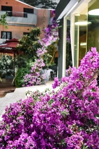 Garden in Privé City Hotel