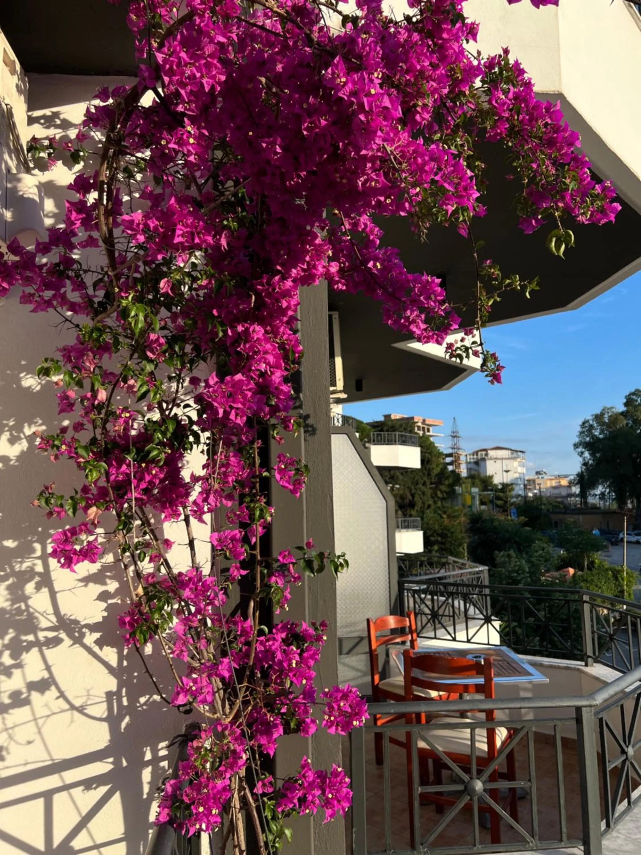 Privé City Hotel