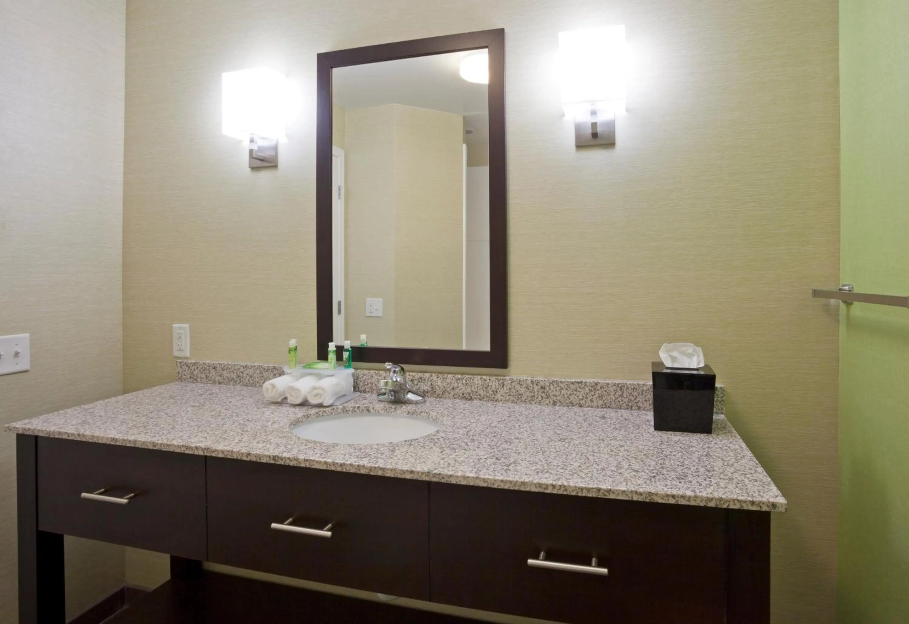 Bathroom in Holiday Inn Express Hotel & Suites Rogers by IHG