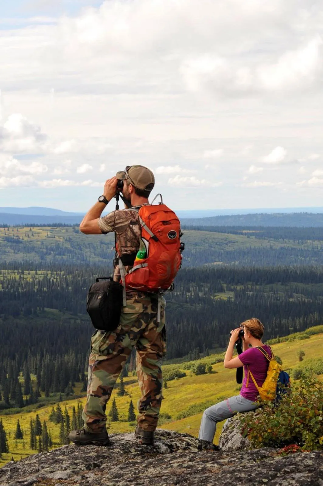 Summer in Caribou Lodge Alaska