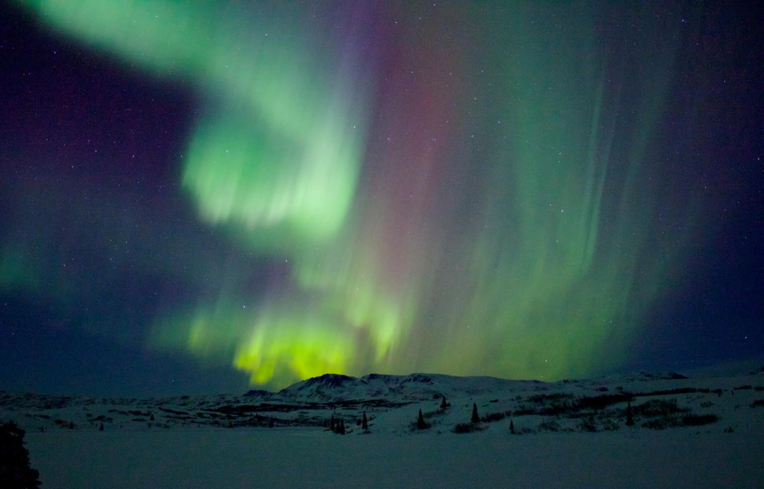 Caribou Lodge Alaska