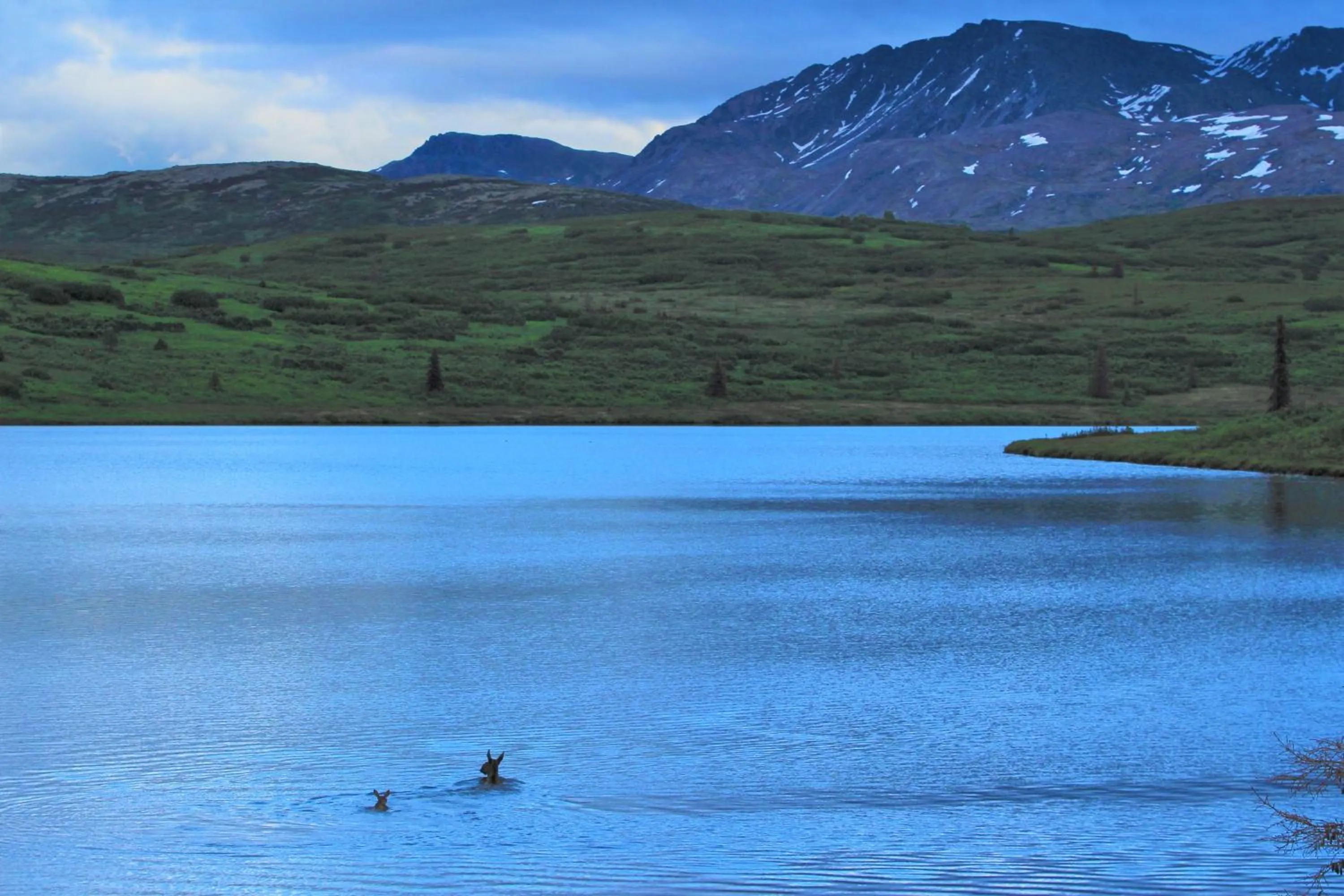Caribou Lodge Alaska