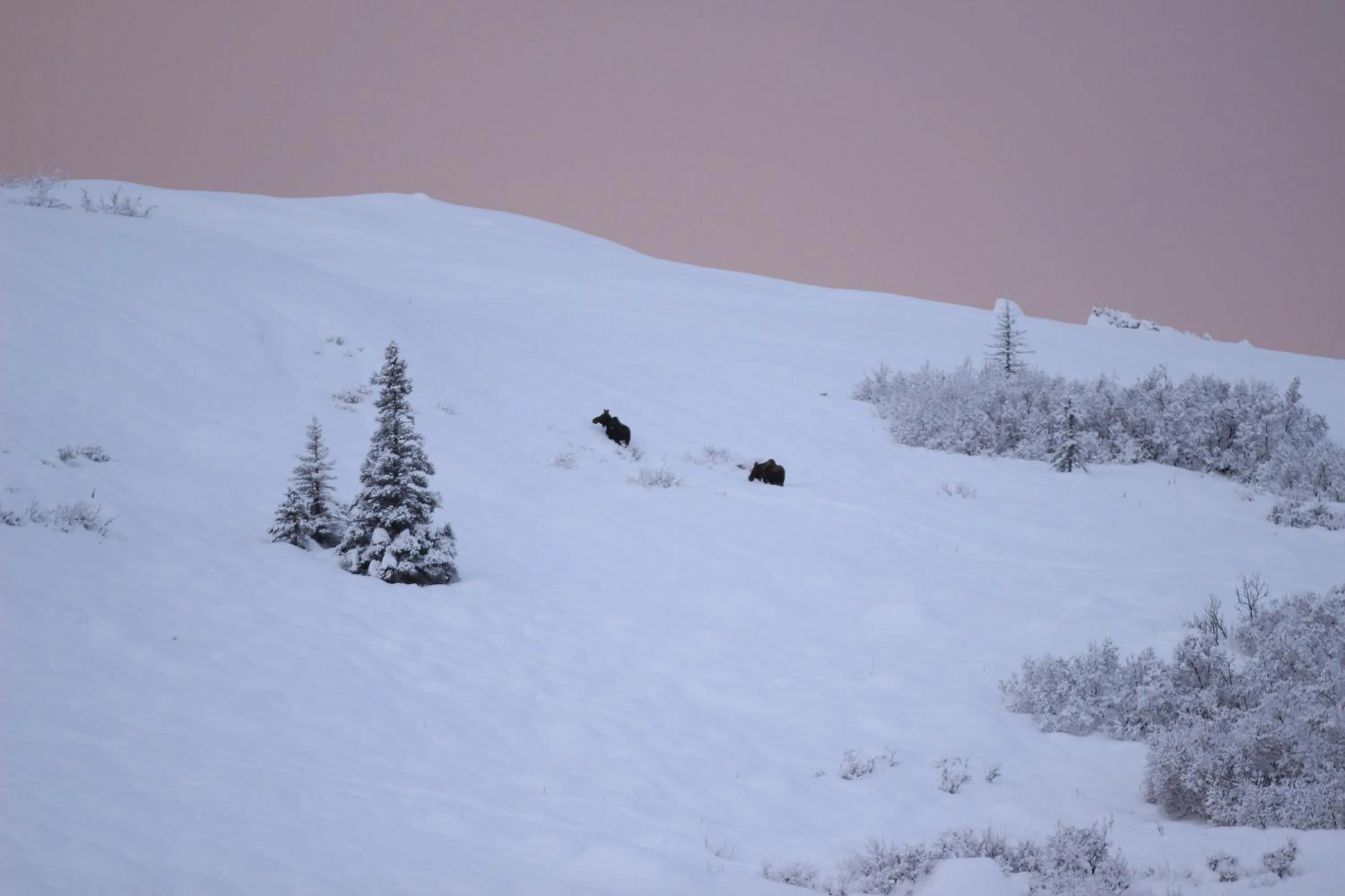 Caribou Lodge Alaska
