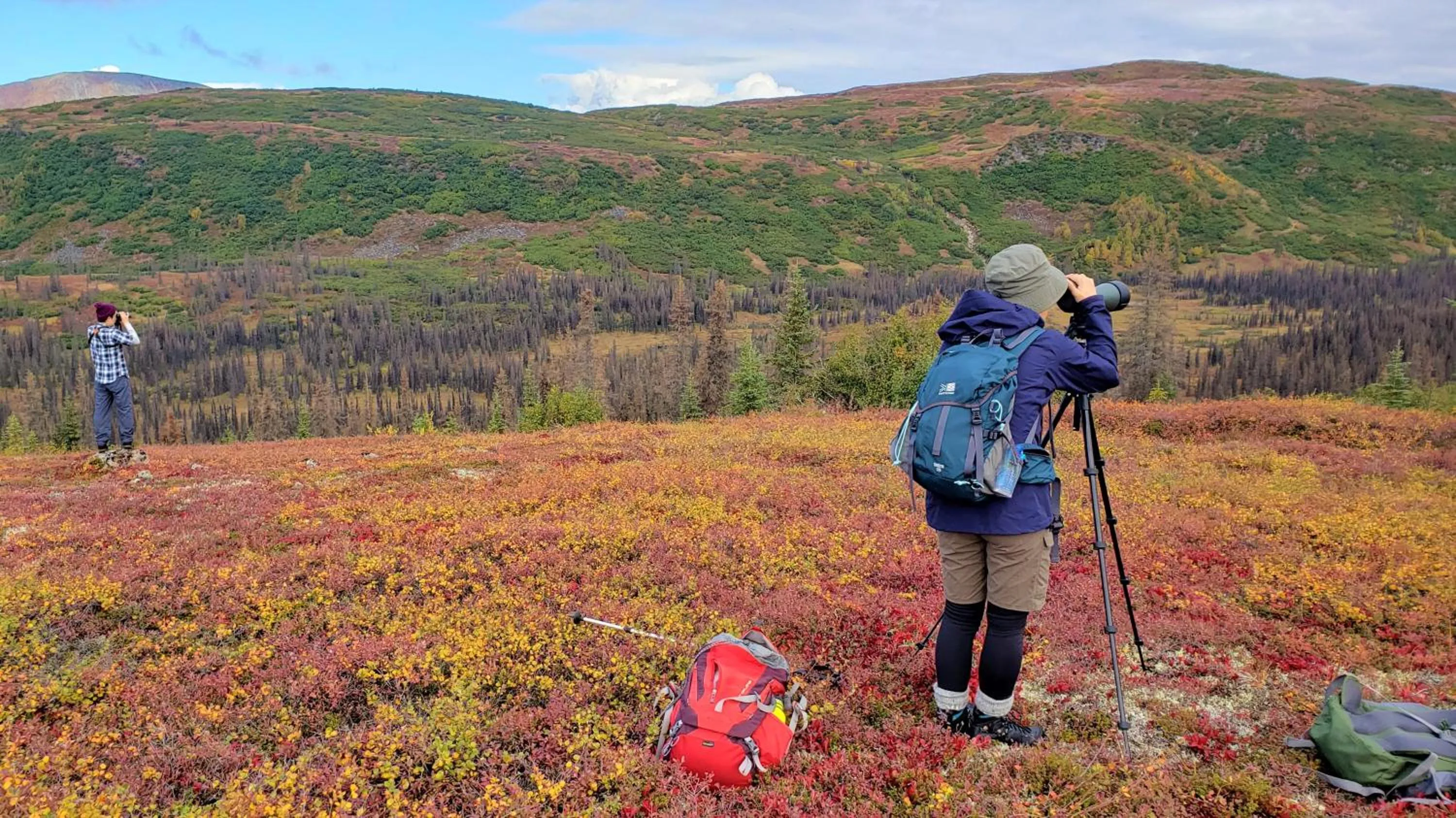 Caribou Lodge Alaska