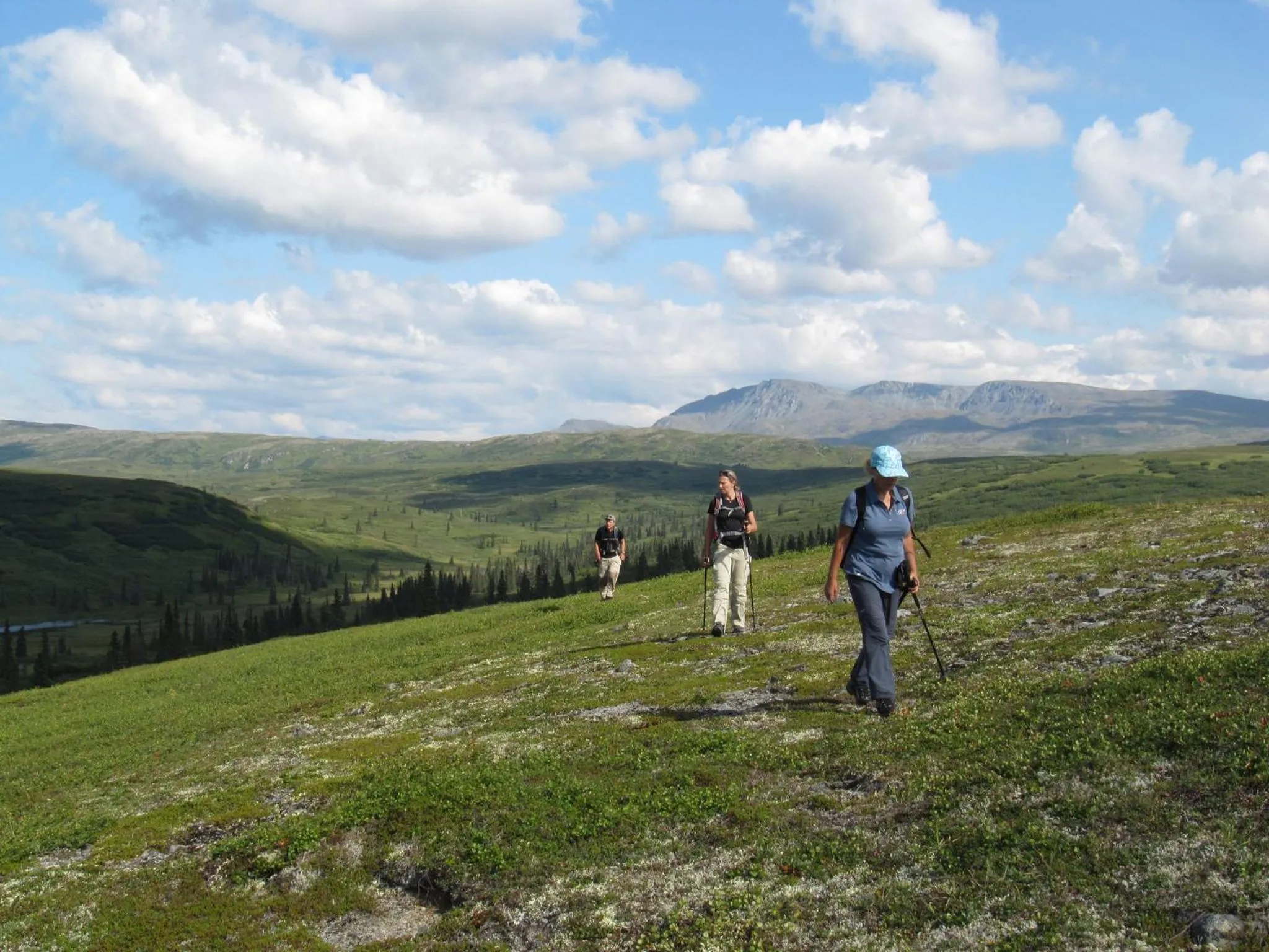 Summer in Caribou Lodge Alaska
