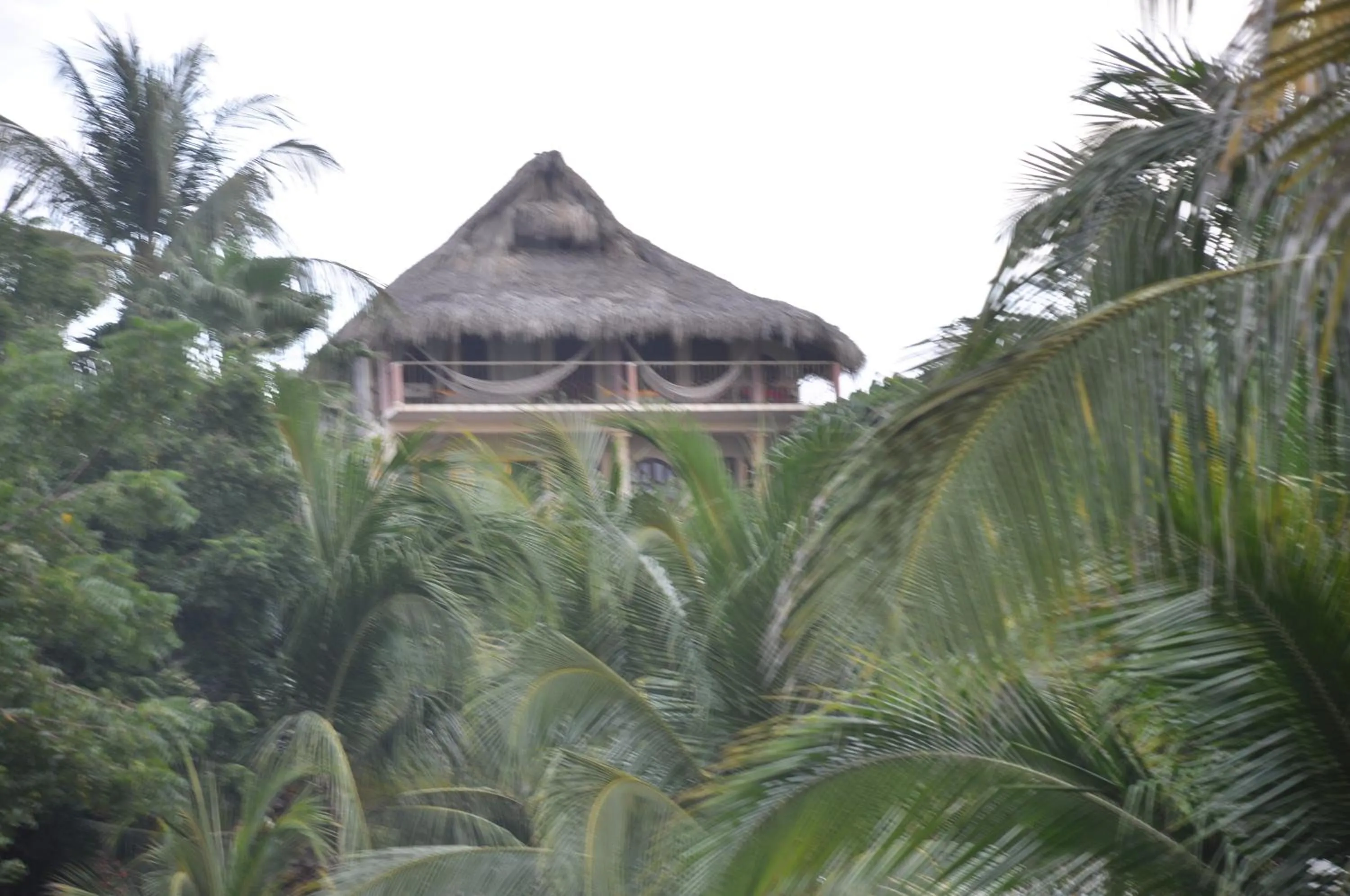 Facade/entrance in Ananda Guest House Yoga & Meditación