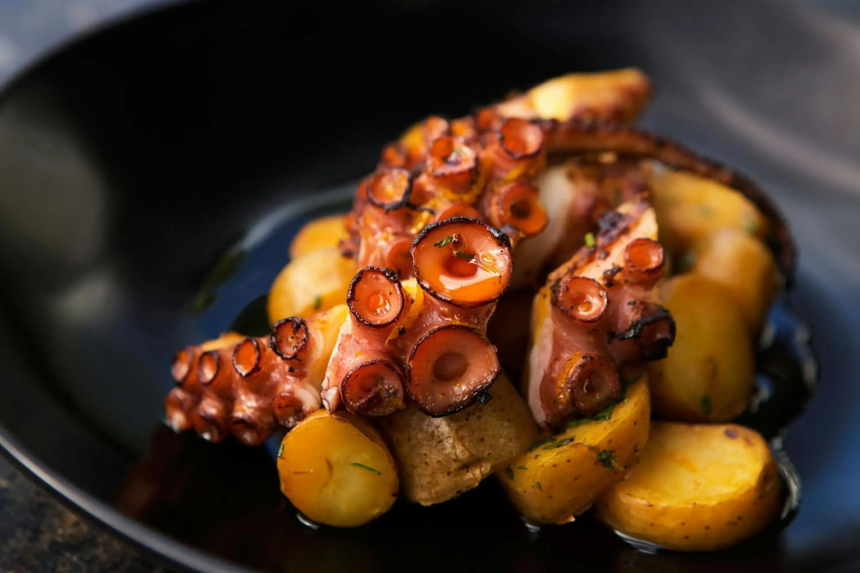 Restaurant/places to eat in La Concha Resort, Puerto Rico, Autograph Collection Restaurant/places to eat in La Concha Resort, Puerto Rico, Autograph Collection