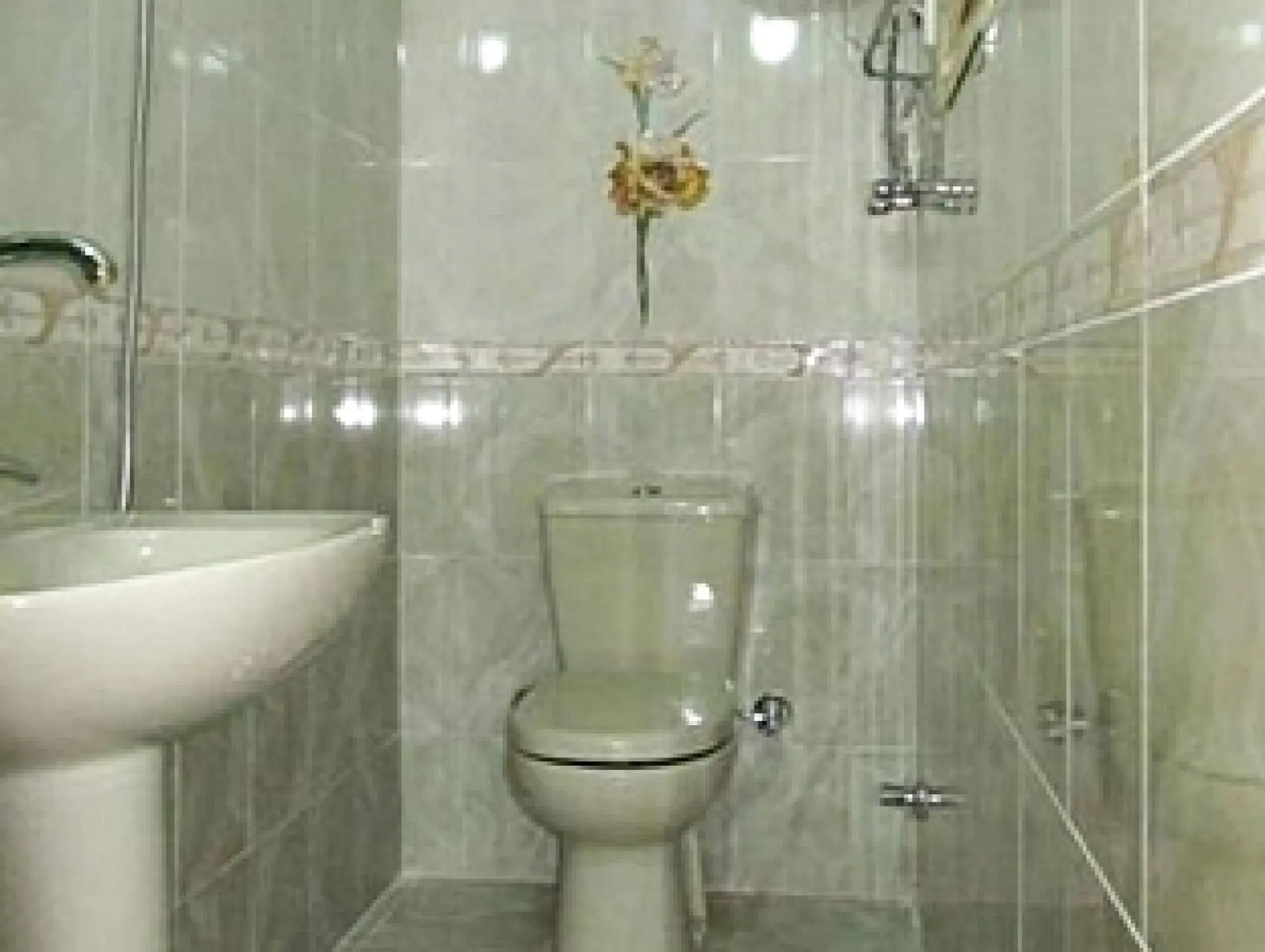 Toilet, Bathroom in Arabian Nights Hostel
