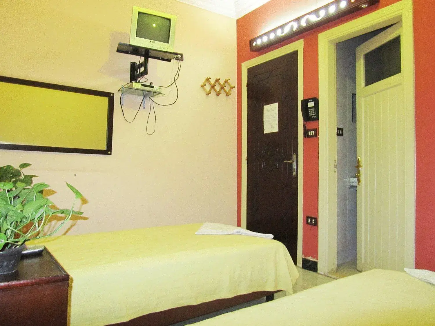 Photo of the whole room, Bed in Arabian Nights Hostel