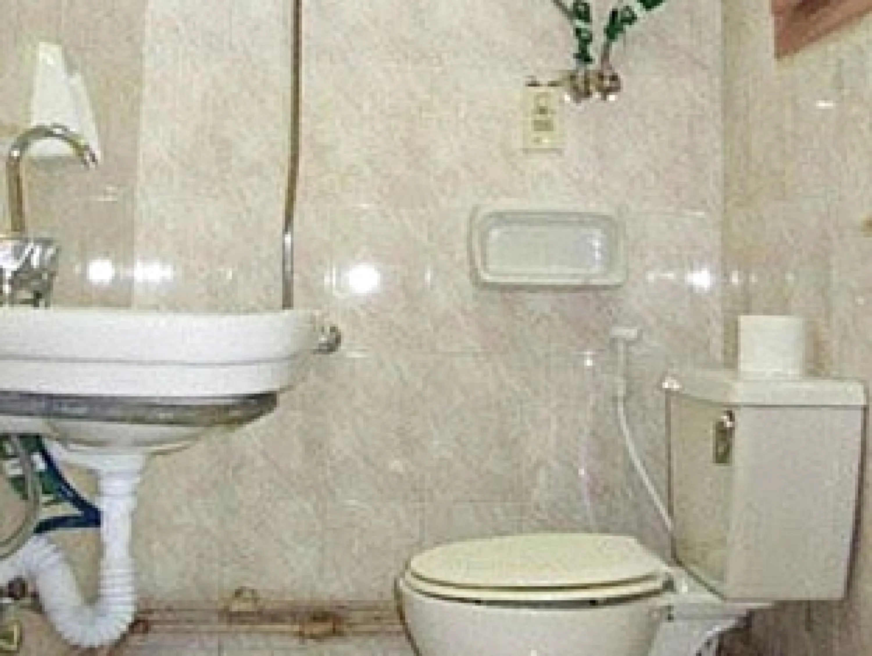 Bathroom in Arabian Nights Hostel