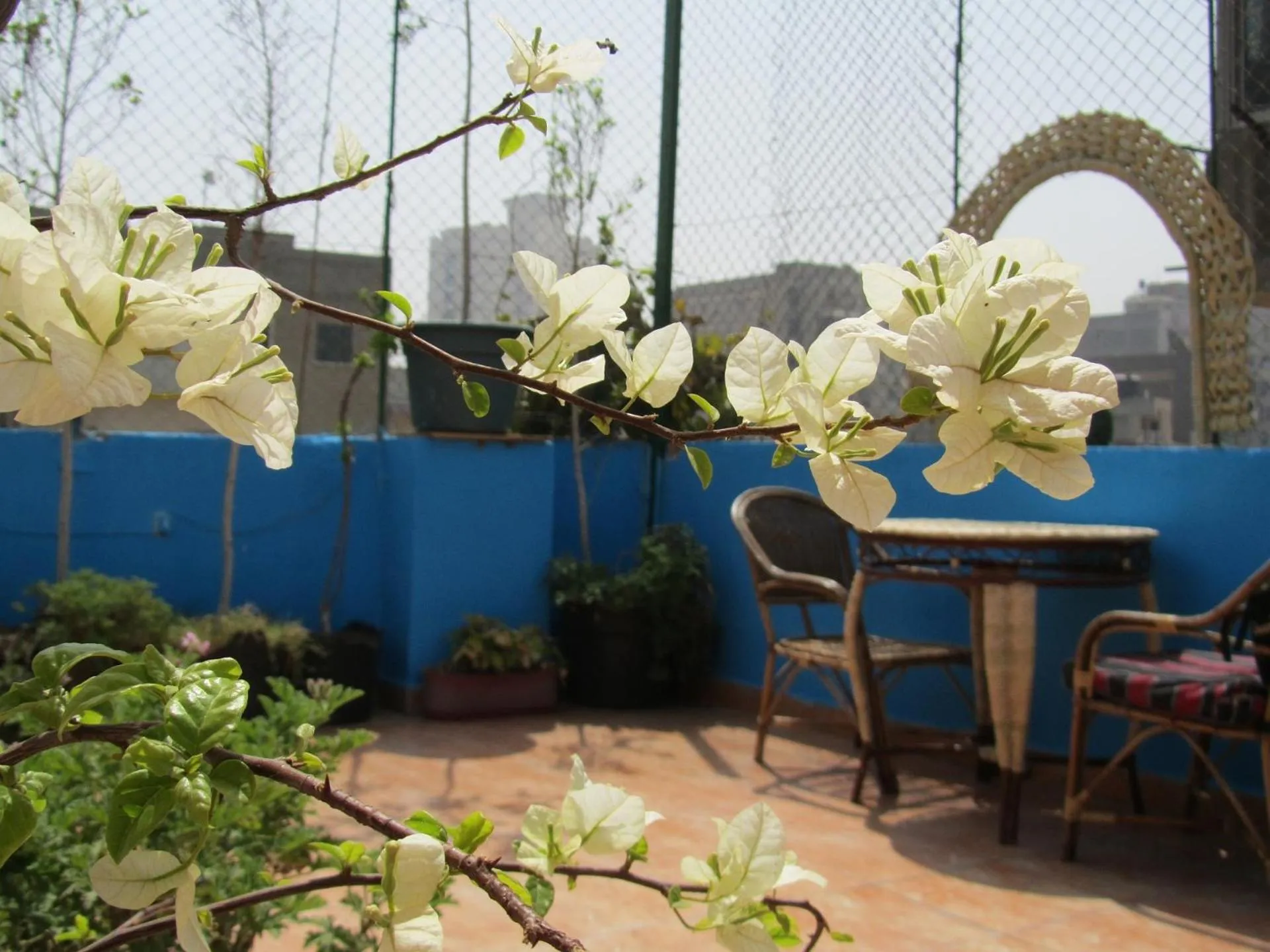 Day in Arabian Nights Hostel