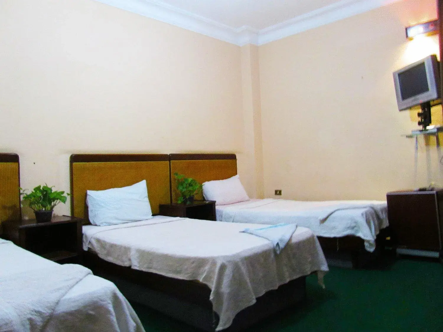 Photo of the whole room, Bed in Arabian Nights Hostel