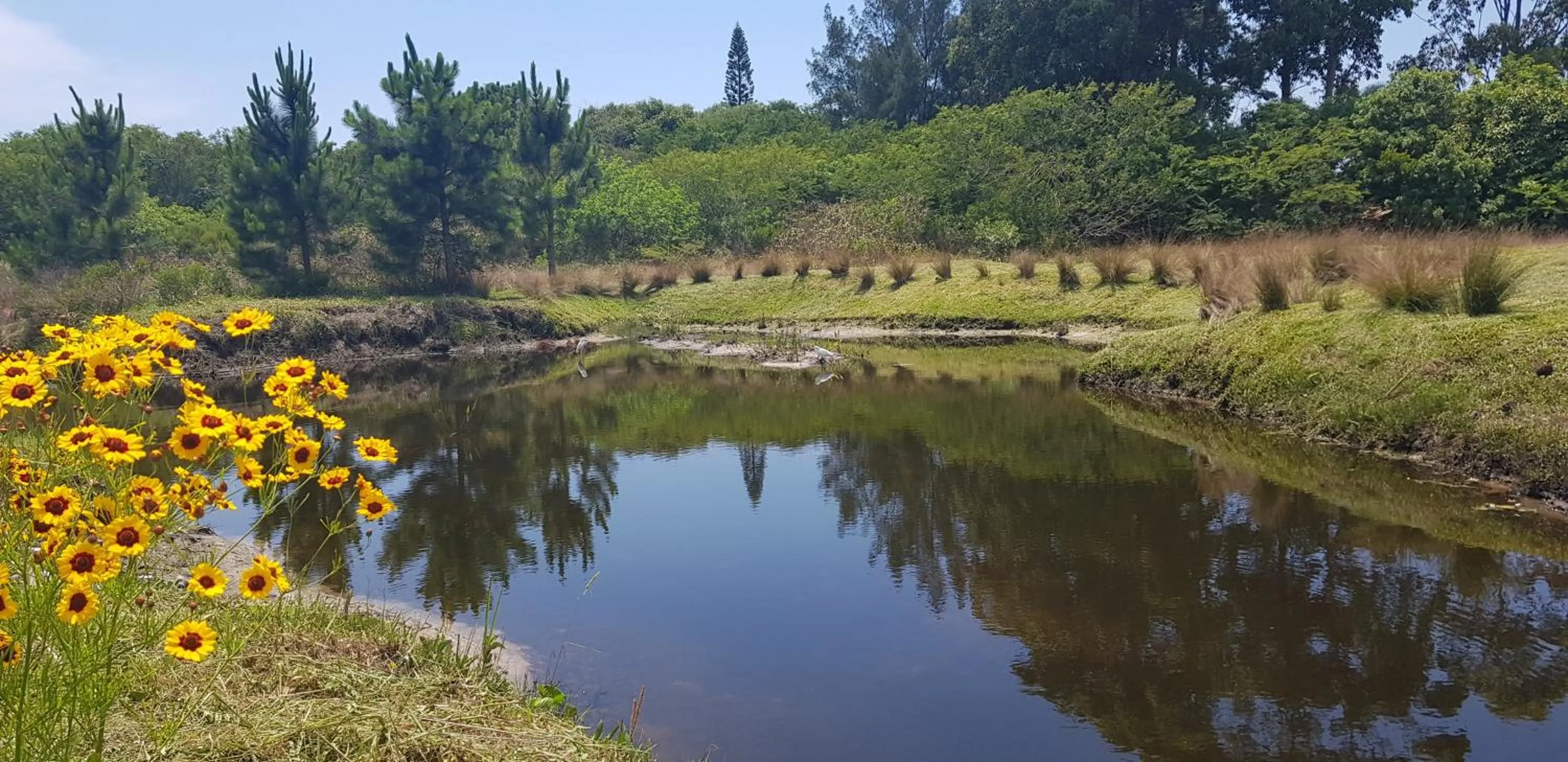 Lake view in Atlantida Park Residence