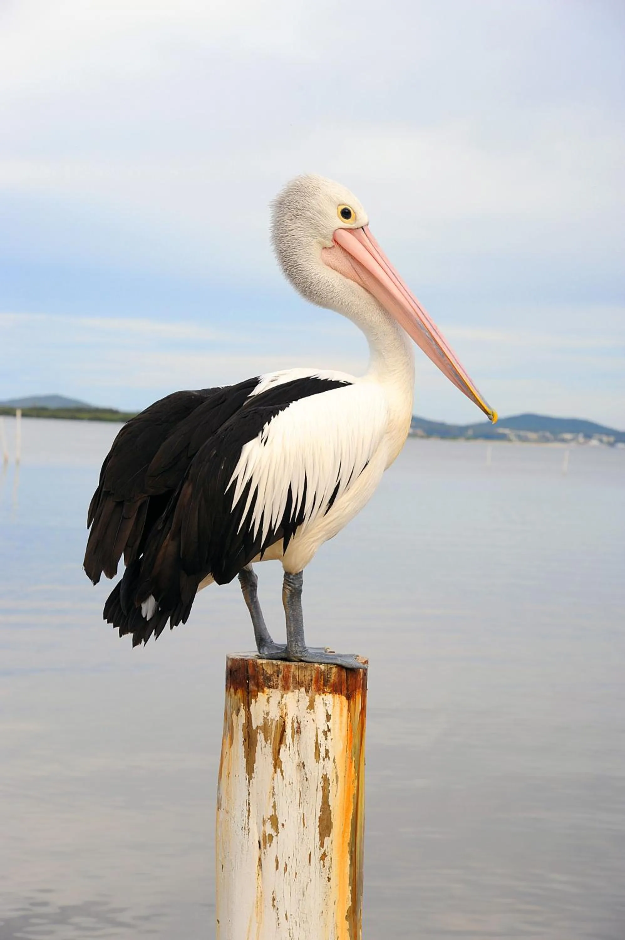 Other in Hotel Nelson