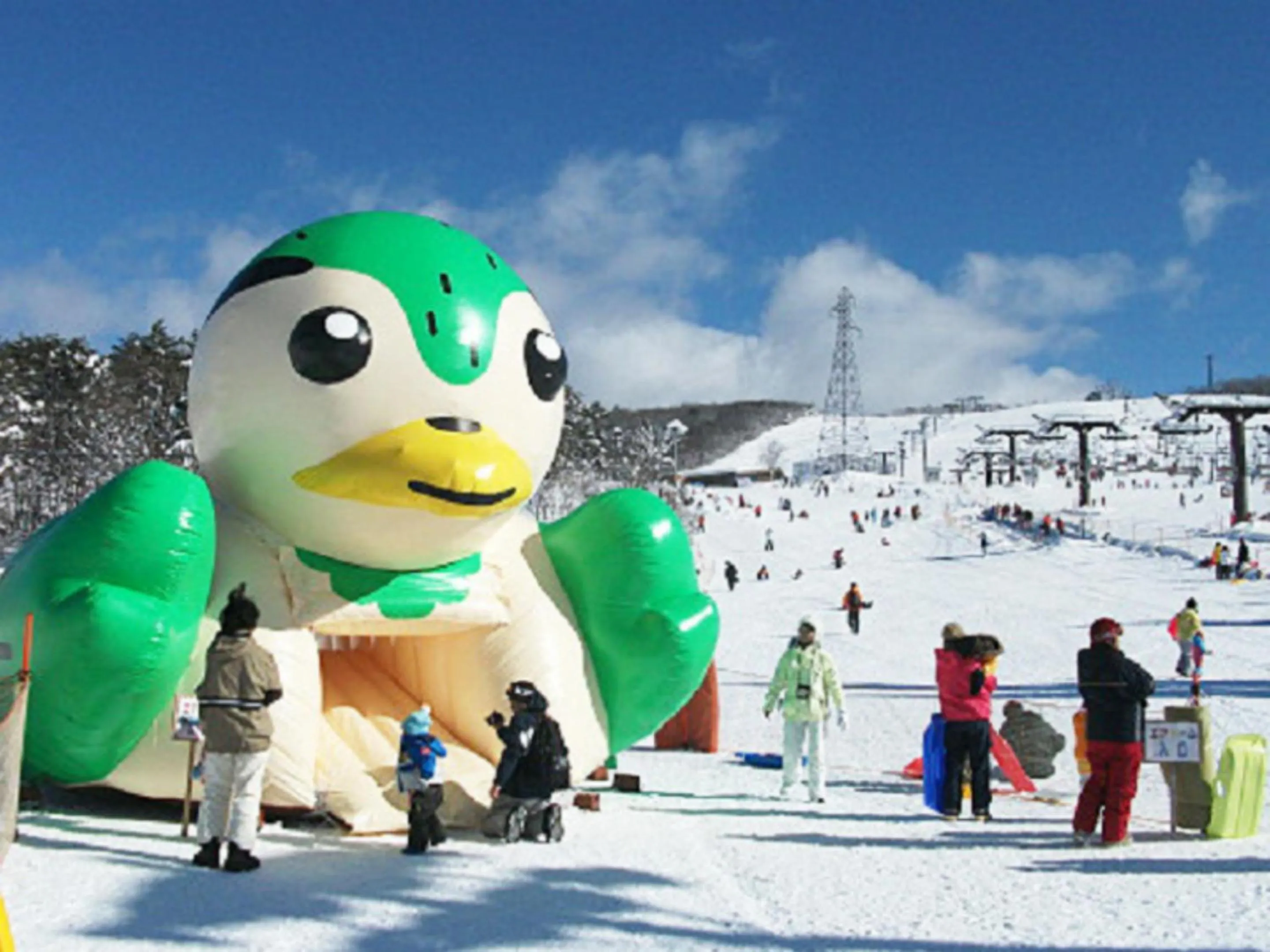 Skiing in Chez-soi Wakamiya
