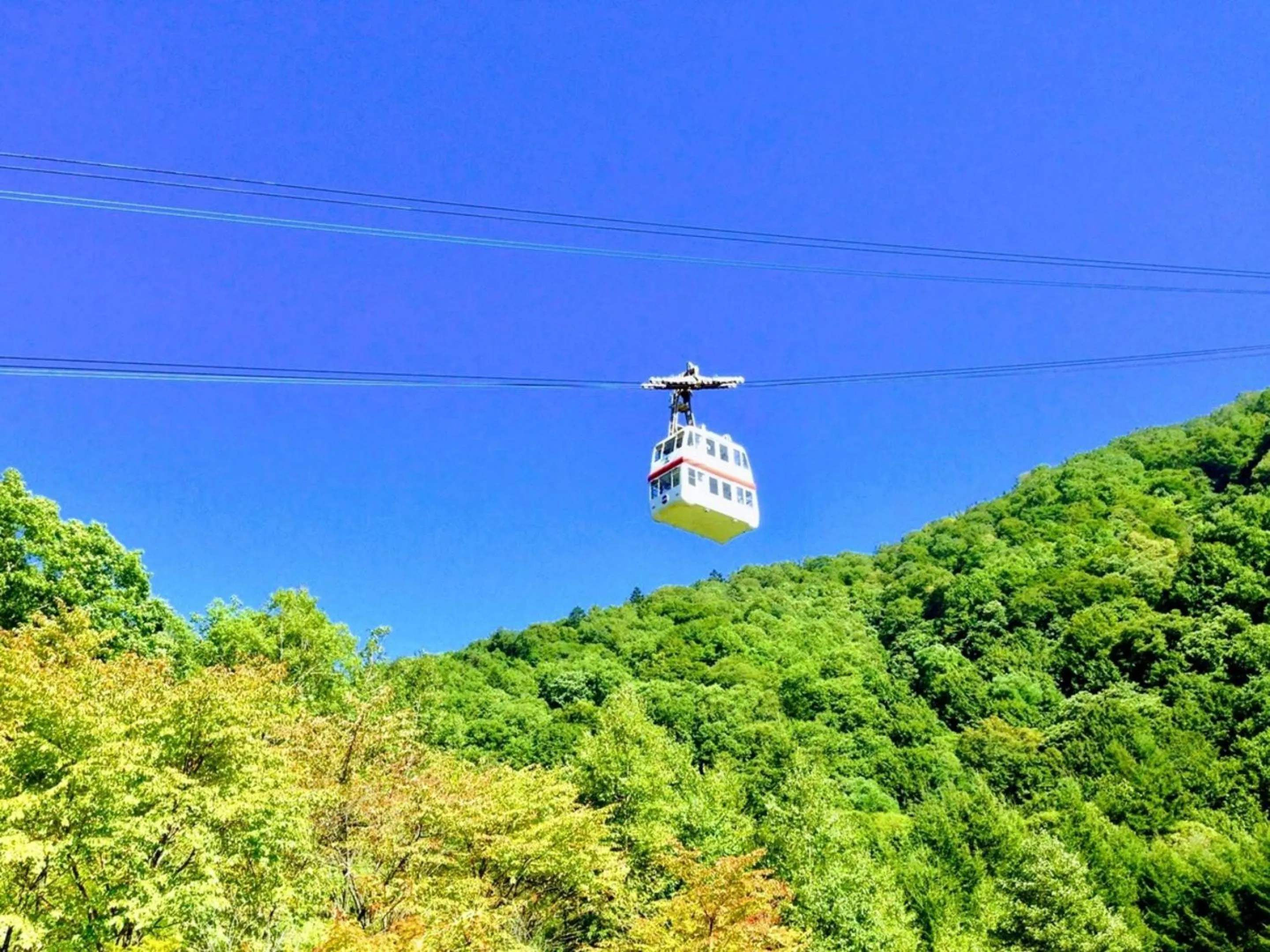 Nearby landmark in Chez-soi Wakamiya