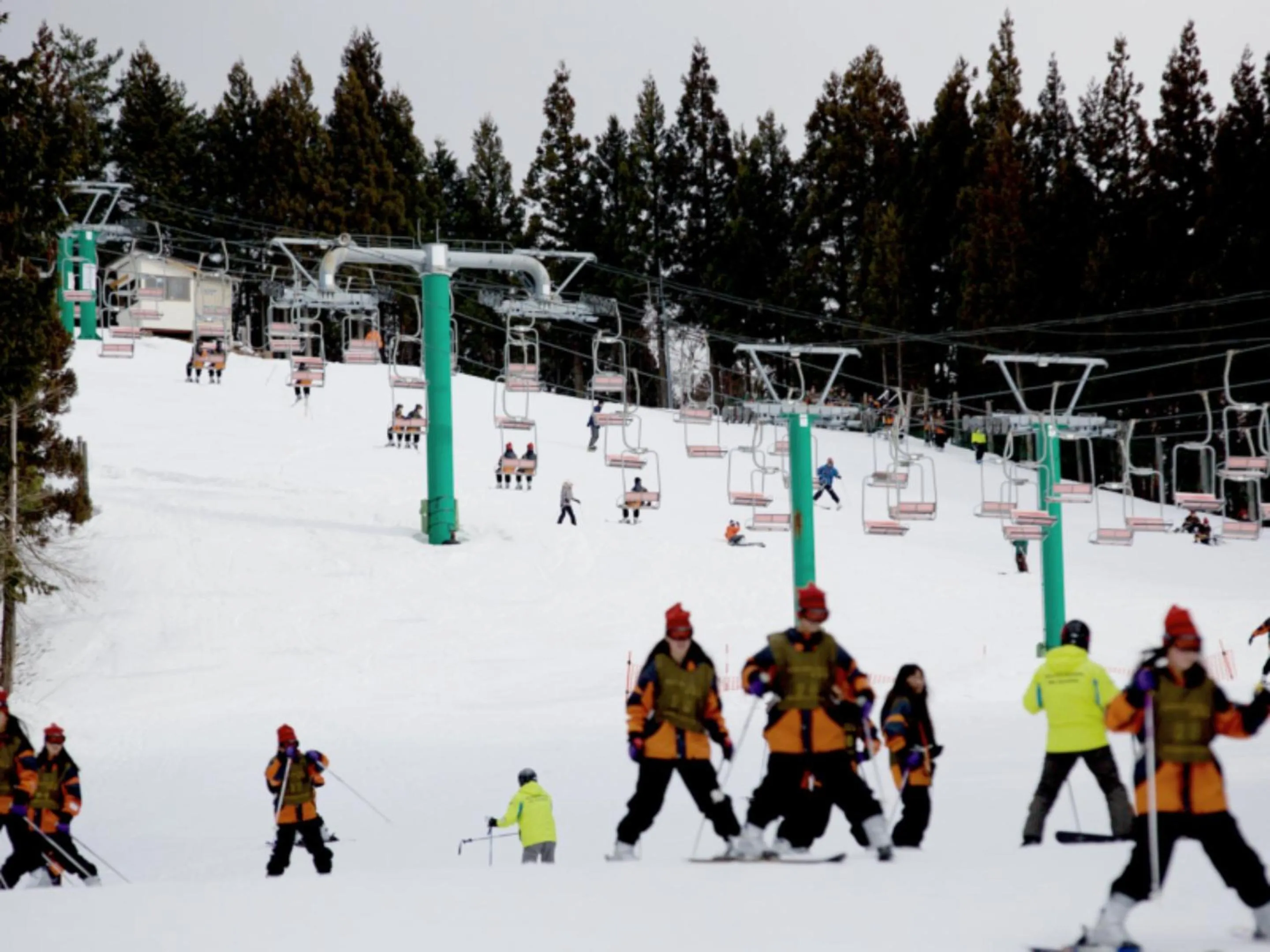 Skiing in Chez-soi Wakamiya